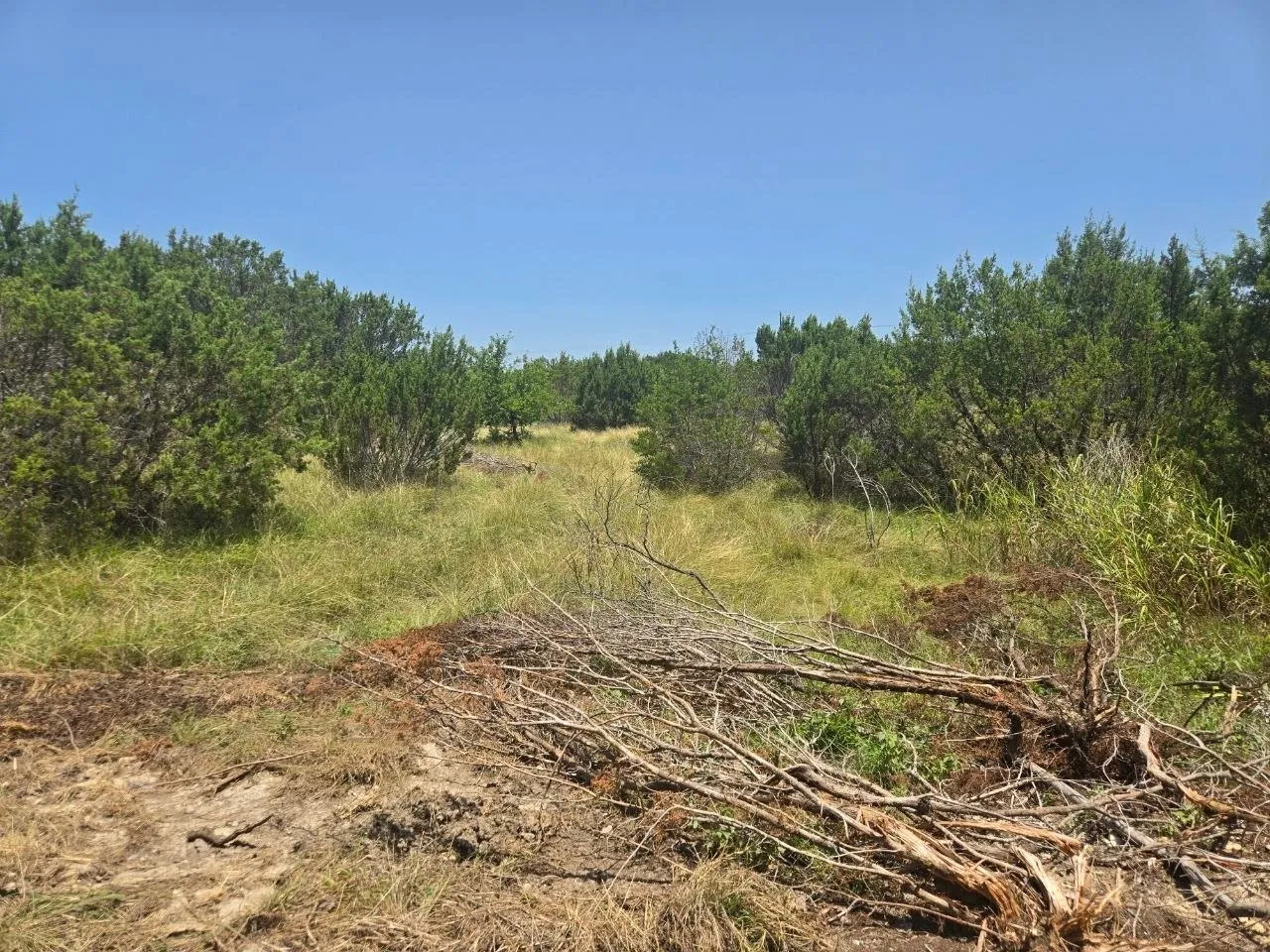 Unimproved Land For Sale in Erath County , TBD Lighthouse Drive, Bluff Dale, Texas 76433, 0, 0, Garage spaces, 0 Sqft, built in 0, mls#21336630, Real Estate Agent in Bluff Dale, Homes For Sale in Erath county, Homes For Sale in Bluff Dale, Realtor in Bluff Dale Texas, Real Estate Brokerage Independent Realty Texas, Luminita Cordes Realtor