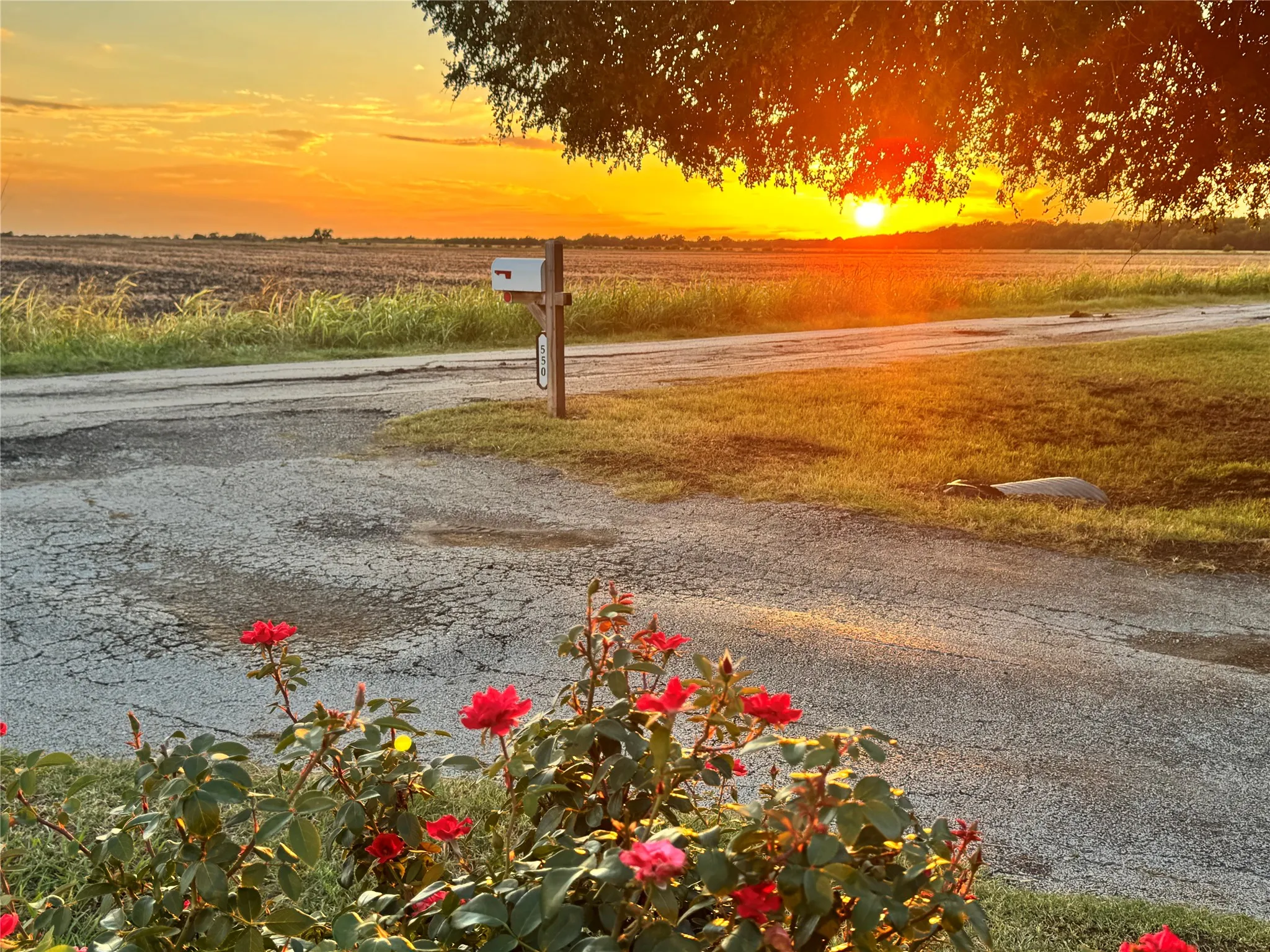 Single Family Residence For Sale in Navarro County , 550 Brookshire Street, Powell, Texas 75153, 4 Bedroom, 3 Bathroom, Garage spaces, 2,908 Sqft, built in 1997, mls#21327165, Real Estate Agent in Powell, Homes For Sale in Navarro county, Homes For Sale in Powell, Realtor in Powell Texas, Real Estate Brokerage Independent Realty Texas, Luminita Cordes Realtor