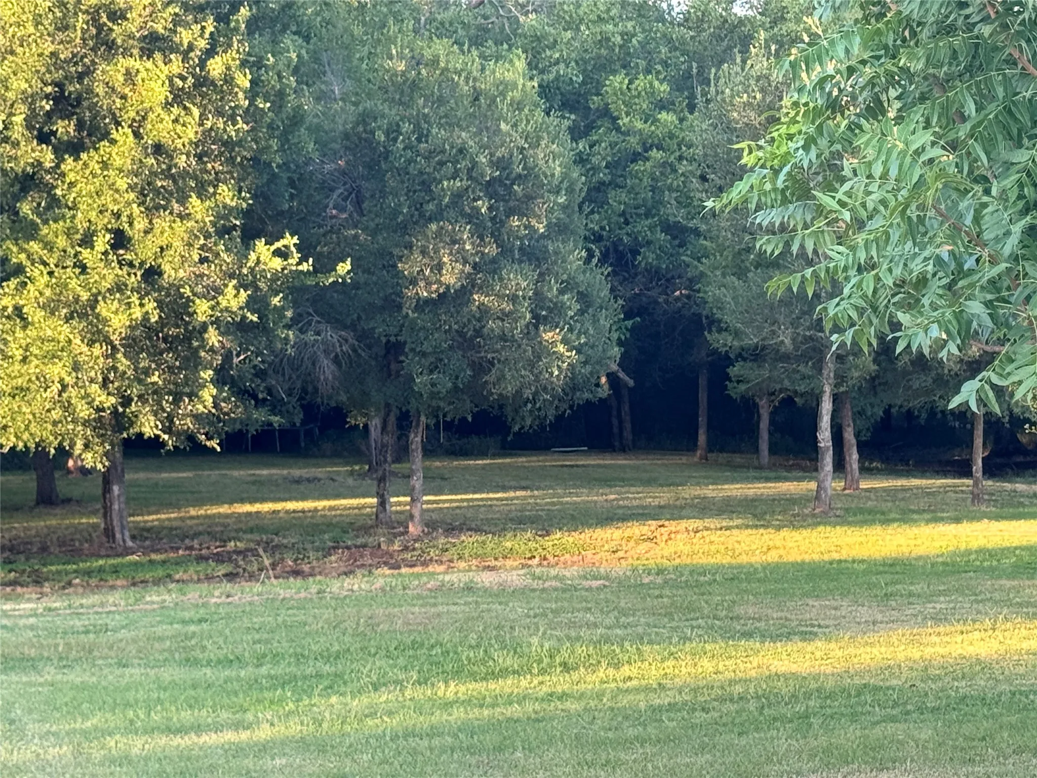 Single Family Residence For Sale in Navarro County , 550 Brookshire Street, Powell, Texas 75153, 4 Bedroom, 3 Bathroom, Garage spaces, 2,908 Sqft, built in 1997, mls#21327165, Real Estate Agent in Powell, Homes For Sale in Navarro county, Homes For Sale in Powell, Realtor in Powell Texas, Real Estate Brokerage Independent Realty Texas, Luminita Cordes Realtor