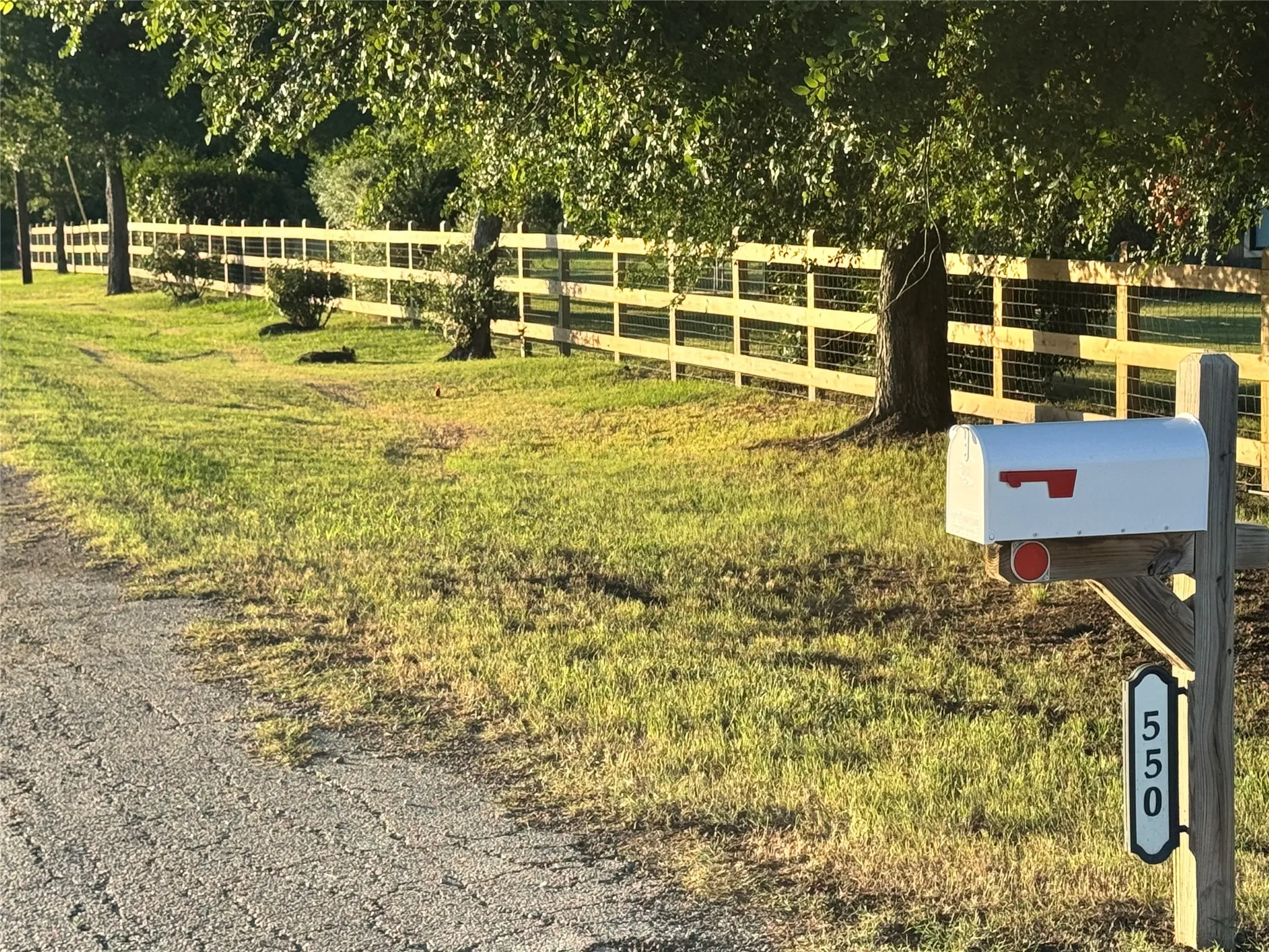 Front Fence with solar powered gate