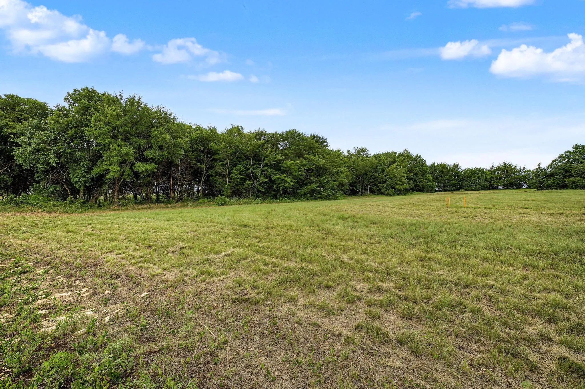 Unimproved Land For Sale in Fannin County , TBD Lot 1 FM 981, Leonard, Texas 75452, 0, 0, Garage spaces, 0 Sqft, built in 0, mls#21299010, Real Estate Agent in Leonard, Homes For Sale in Fannin county, Homes For Sale in Leonard, Realtor in Leonard Texas, Real Estate Brokerage Independent Realty Texas, Luminita Cordes Realtor