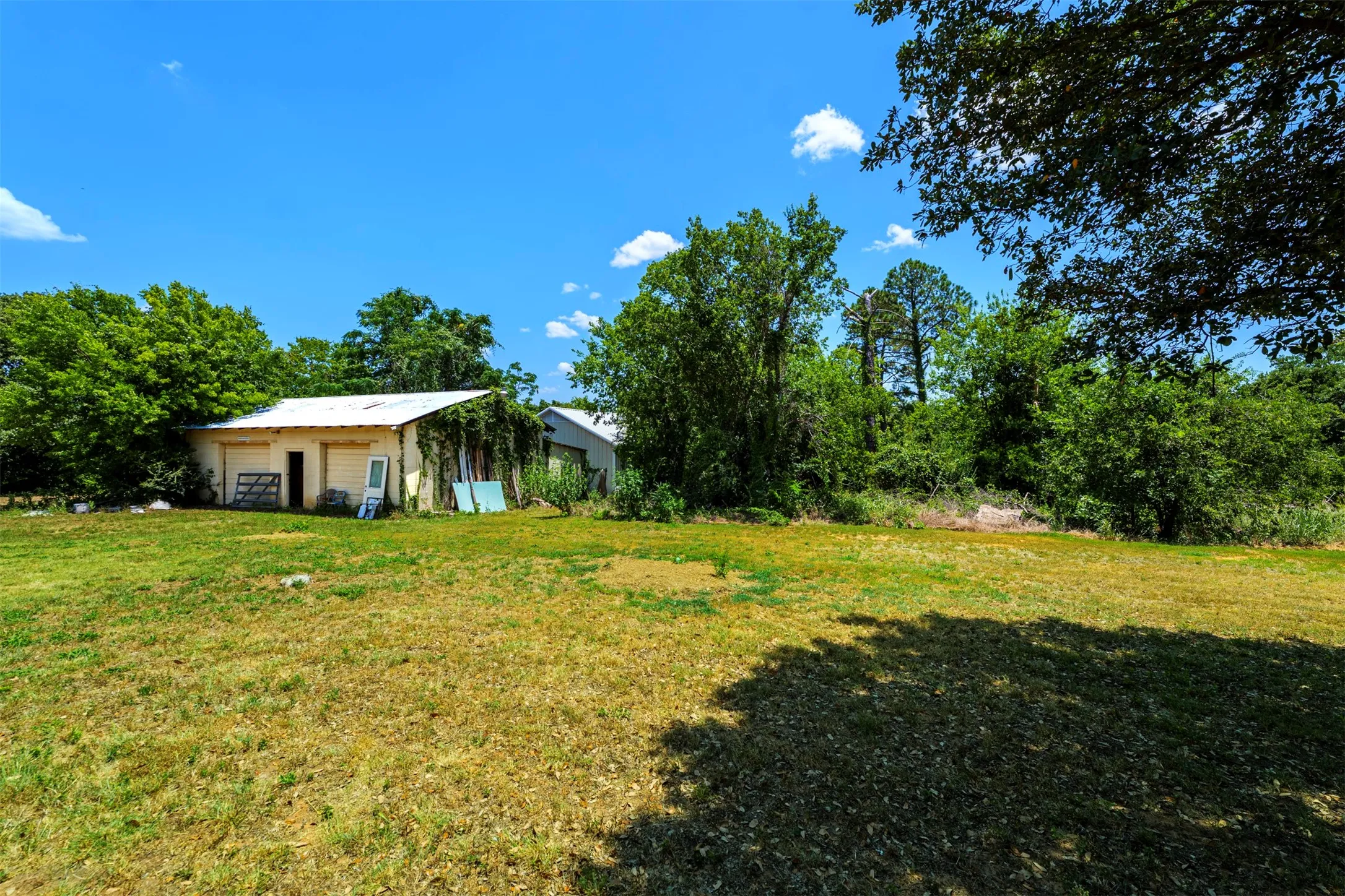 Expansive grassy area with mature trees and a single-story structure featuring a light-colored facade and a metal roof