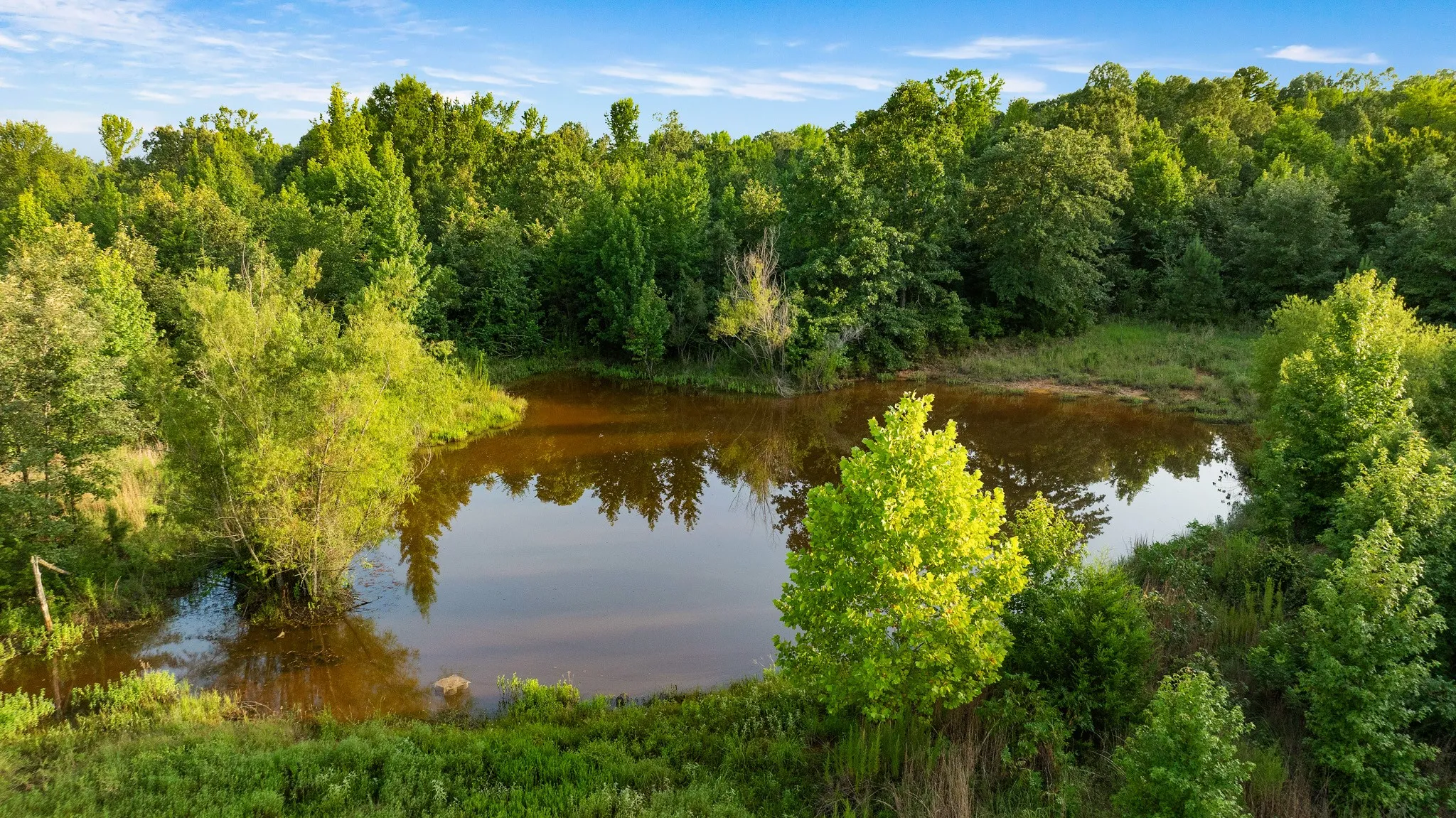 Unimproved Land For Sale in Lamar County , TRACT A County Road 43200, Powderly, Texas 75473, 0, 0, Garage spaces, 0 Sqft, built in 0, Price $287,000, mls#21336675, Real Estate Agent in Powderly, Homes For Sale in Lamar county, Homes For Sale in Powderly, Realtor in Powderly Texas, Real Estate Brokerage Independent Realty Texas, Luminita Cordes Realtor