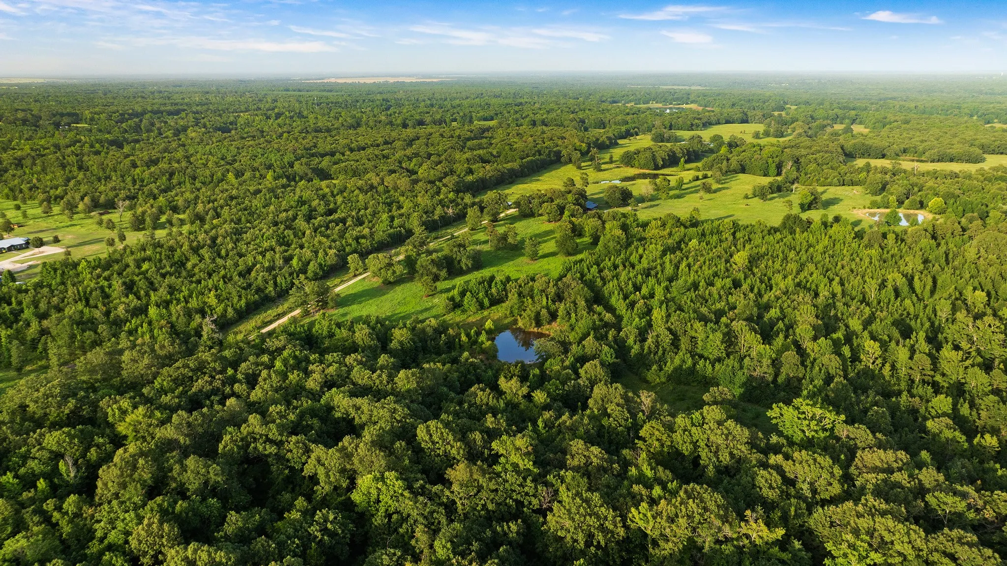 Unimproved Land For Sale in Lamar County , TRACT A County Road 43200, Powderly, Texas 75473, 0, 0, Garage spaces, 0 Sqft, built in 0, Price $287,000, mls#21336675, Real Estate Agent in Powderly, Homes For Sale in Lamar county, Homes For Sale in Powderly, Realtor in Powderly Texas, Real Estate Brokerage Independent Realty Texas, Luminita Cordes Realtor