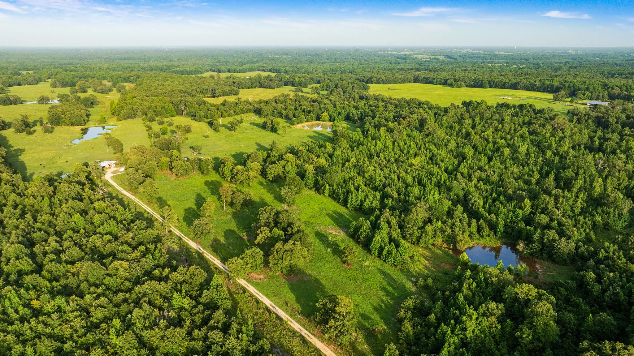 Unimproved Land For Sale in Lamar County , TRACT A County Road 43200, Powderly, Texas 75473, 0, 0, Garage spaces, 0 Sqft, built in 0, Price $287,000, mls#21336675, Real Estate Agent in Powderly, Homes For Sale in Lamar county, Homes For Sale in Powderly, Realtor in Powderly Texas, Real Estate Brokerage Independent Realty Texas, Luminita Cordes Realtor