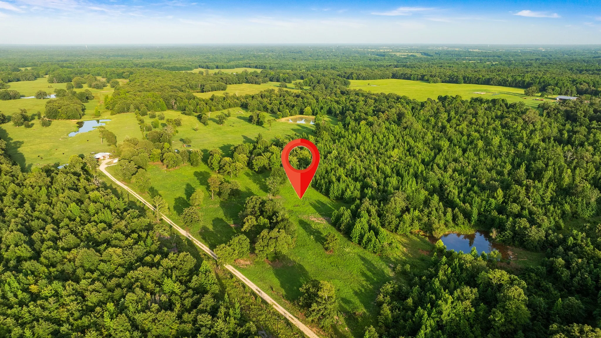 Unimproved Land For Sale in Lamar County , TRACT A County Road 43200, Powderly, Texas 75473, 0, 0, Garage spaces, 0 Sqft, built in 0, Price $287,000, mls#21336675, Real Estate Agent in Powderly, Homes For Sale in Lamar county, Homes For Sale in Powderly, Realtor in Powderly Texas, Real Estate Brokerage Independent Realty Texas, Luminita Cordes Realtor