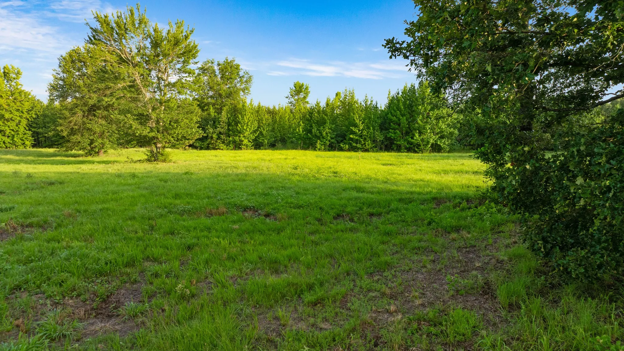 Unimproved Land For Sale in Lamar County , TRACT A County Road 43200, Powderly, Texas 75473, 0, 0, Garage spaces, 0 Sqft, built in 0, Price $287,000, mls#21336675, Real Estate Agent in Powderly, Homes For Sale in Lamar county, Homes For Sale in Powderly, Realtor in Powderly Texas, Real Estate Brokerage Independent Realty Texas, Luminita Cordes Realtor