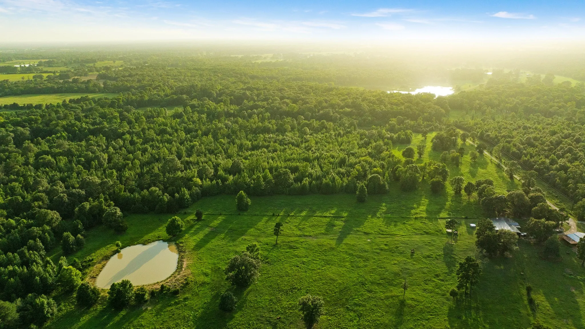 Unimproved Land For Sale in Lamar County , TRACT A County Road 43200, Powderly, Texas 75473, 0, 0, Garage spaces, 0 Sqft, built in 0, Price $287,000, mls#21336675, Real Estate Agent in Powderly, Homes For Sale in Lamar county, Homes For Sale in Powderly, Realtor in Powderly Texas, Real Estate Brokerage Independent Realty Texas, Luminita Cordes Realtor