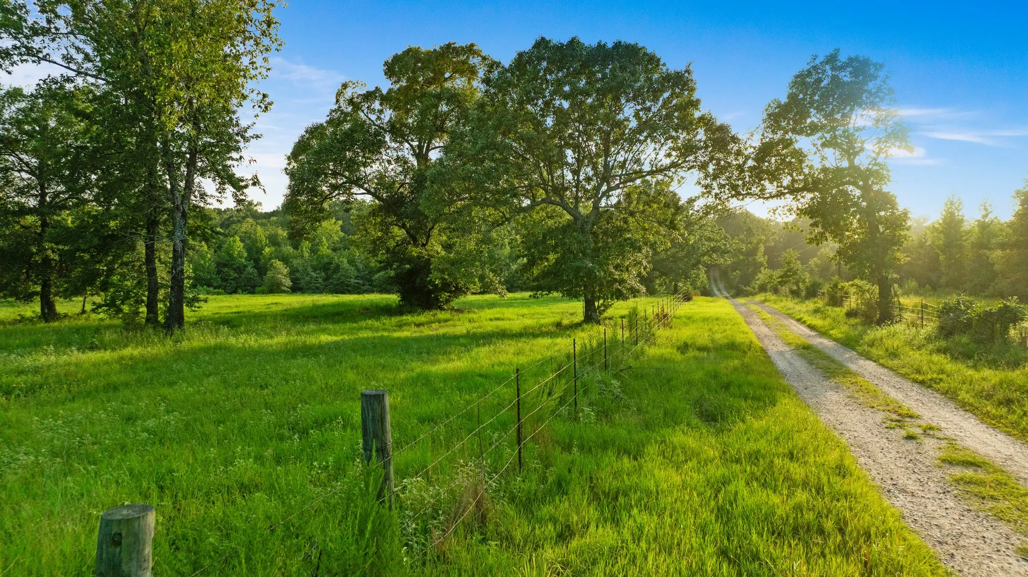 Unimproved Land For Sale in Lamar County , TRACT A County Road 43200, Powderly, Texas 75473, 0, 0, Garage spaces, 0 Sqft, built in 0, Price $287,000, mls#21336675, Real Estate Agent in Powderly, Homes For Sale in Lamar county, Homes For Sale in Powderly, Realtor in Powderly Texas, Real Estate Brokerage Independent Realty Texas, Luminita Cordes Realtor