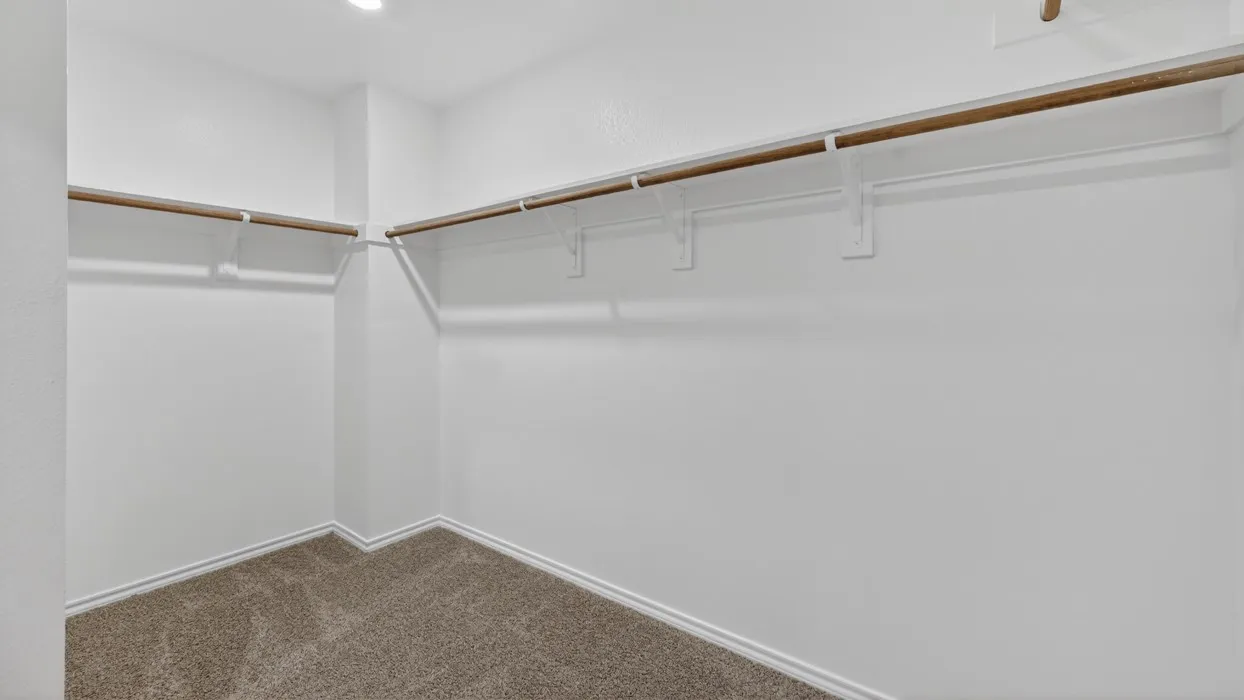 Spacious walk-in closet featuring white walls, baseboards, and neutral-toned carpeting
