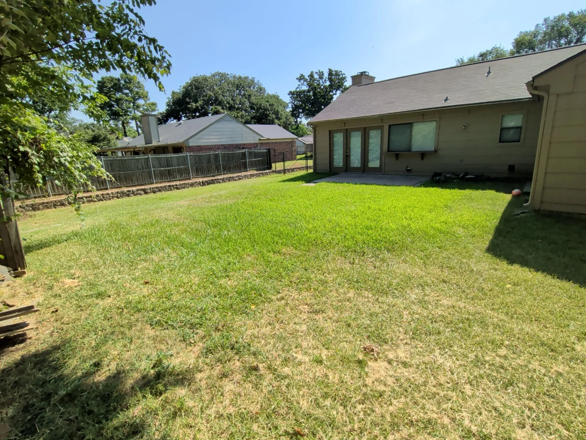 Back Yard