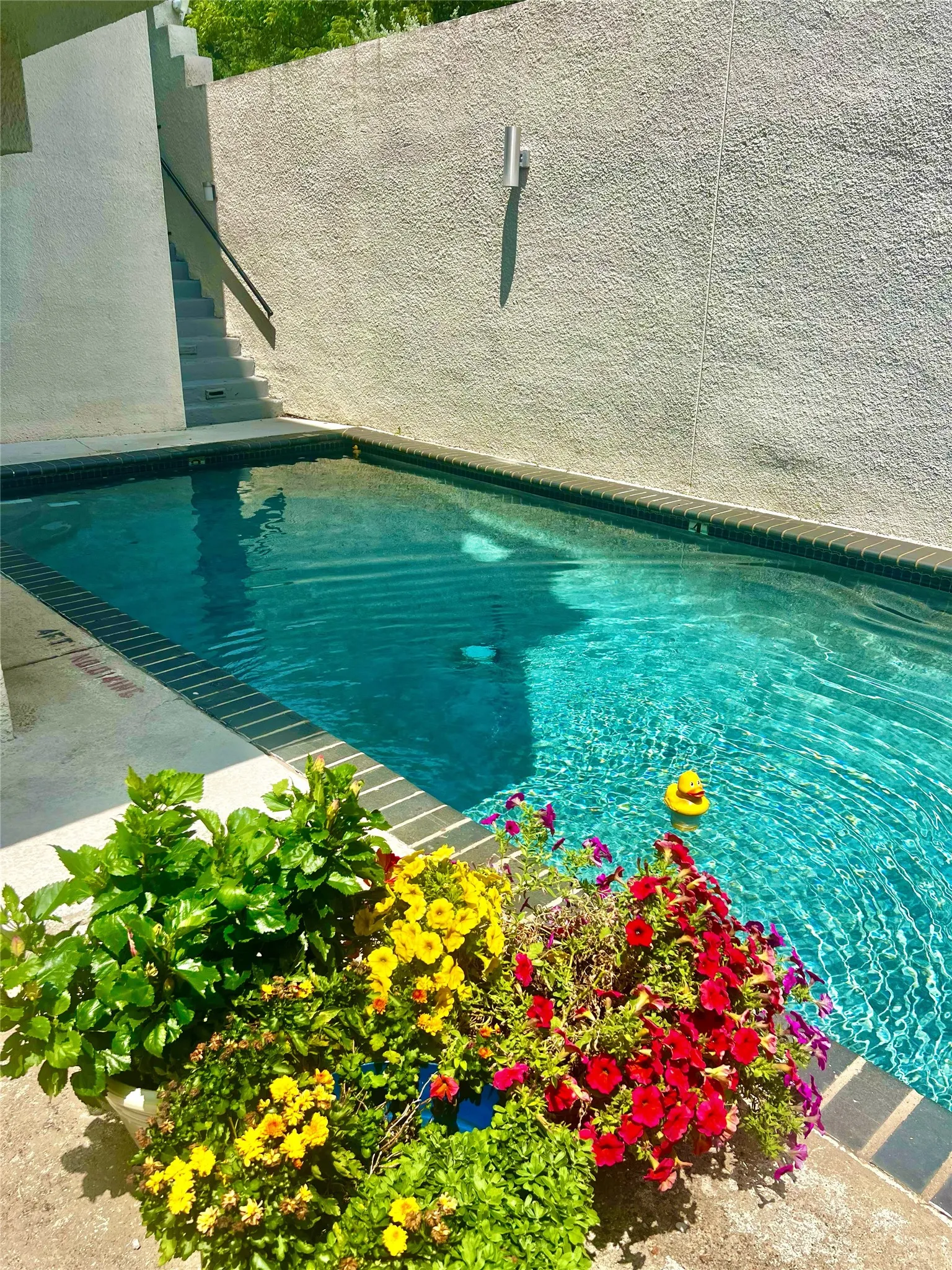 Inviting inground pool with dark coping and light-colored decking