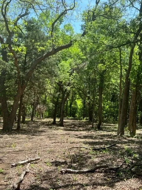 Ranch For Sale in Ellis County , 159 Bee Creek School House, Grandview, Texas 76050, 0, 0, Garage spaces, 0 Sqft, built in 0, Price $4,796,000, mls#21336497, Real Estate Agent in Grandview, Homes For Sale in Ellis county, Homes For Sale in Grandview, Realtor in Grandview Texas, Real Estate Brokerage Independent Realty Texas, Luminita Cordes Realtor