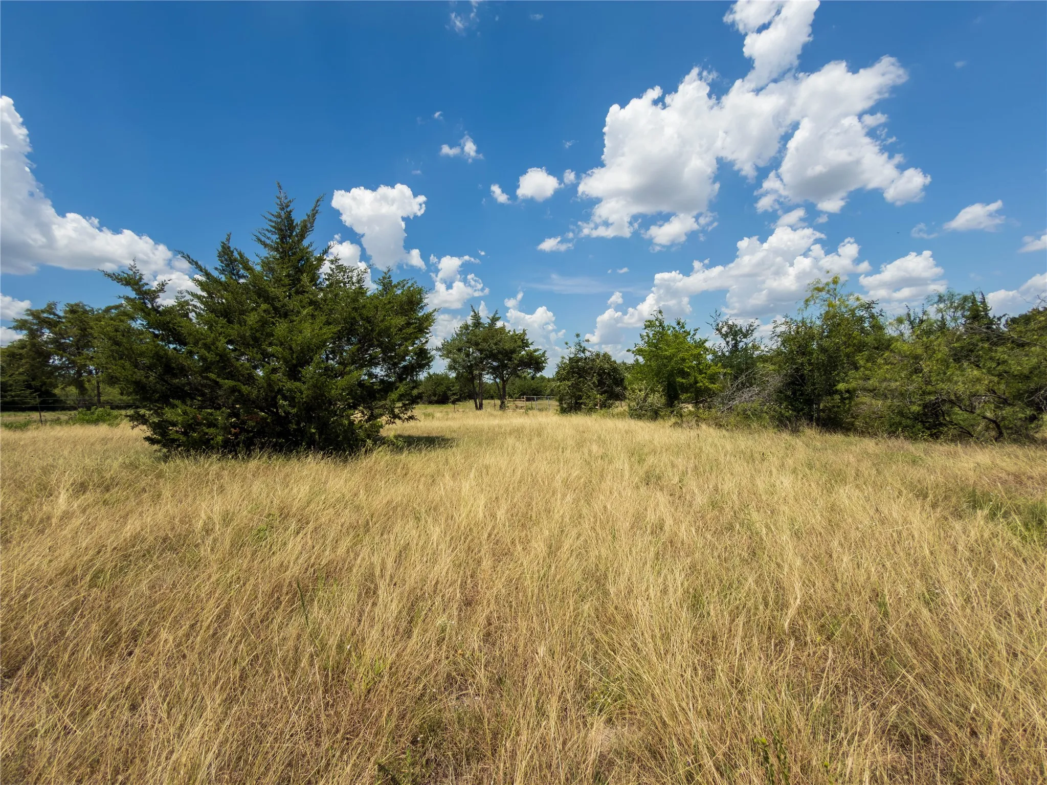 Ranch For Sale in Ellis County , 159 Bee Creek School House, Grandview, Texas 76050, 0, 0, Garage spaces, 0 Sqft, built in 0, Price $4,796,000, mls#21336497, Real Estate Agent in Grandview, Homes For Sale in Ellis county, Homes For Sale in Grandview, Realtor in Grandview Texas, Real Estate Brokerage Independent Realty Texas, Luminita Cordes Realtor