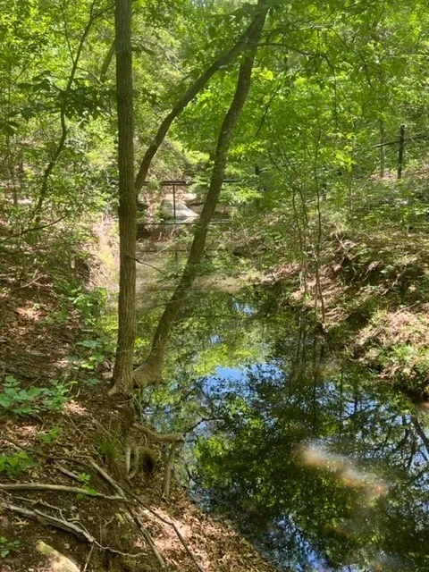 Ranch For Sale in Ellis County , 159 Bee Creek School House, Grandview, Texas 76050, 0, 0, Garage spaces, 0 Sqft, built in 0, Price $4,796,000, mls#21336497, Real Estate Agent in Grandview, Homes For Sale in Ellis county, Homes For Sale in Grandview, Realtor in Grandview Texas, Real Estate Brokerage Independent Realty Texas, Luminita Cordes Realtor