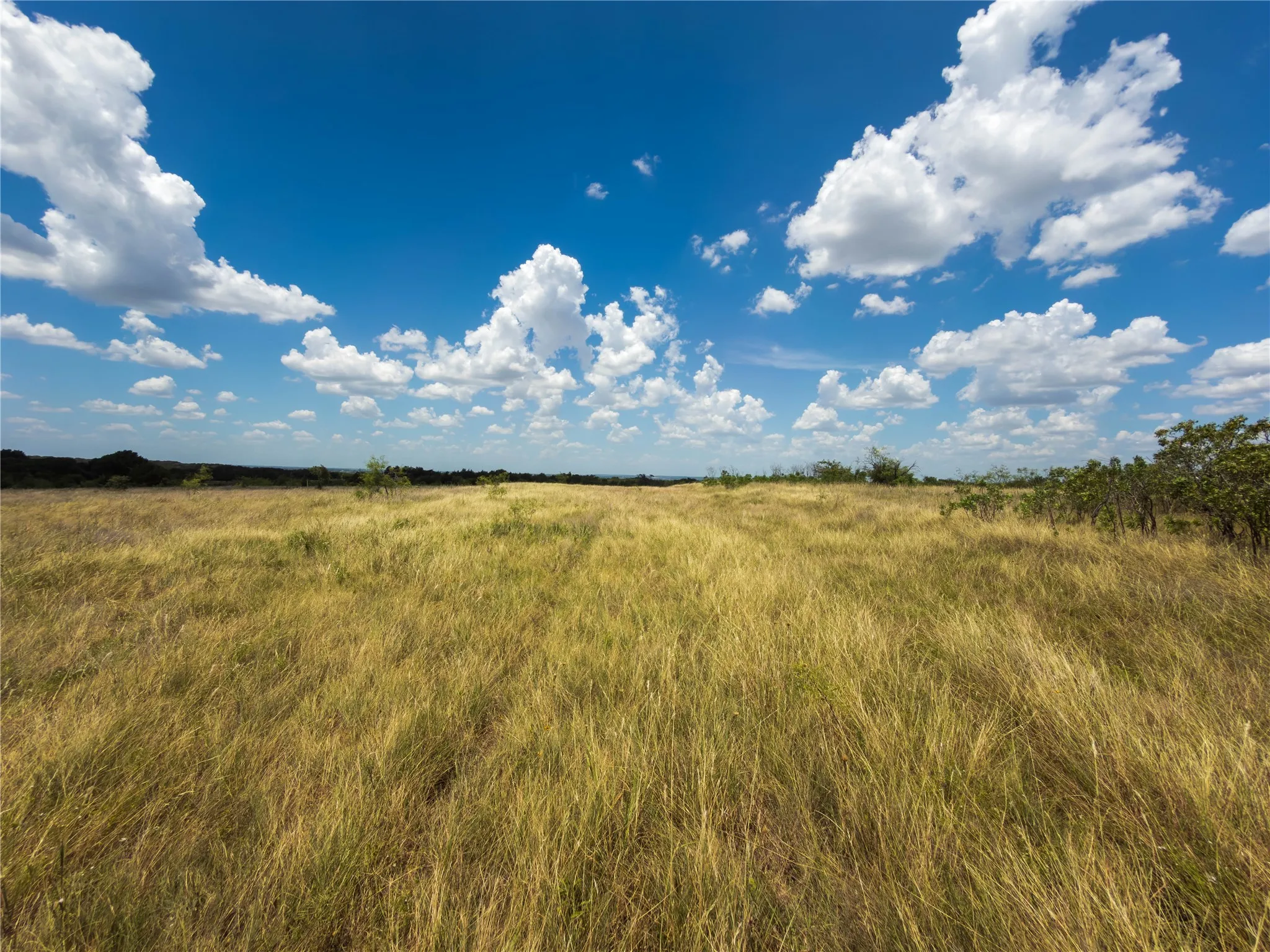 Ranch For Sale in Ellis County , 159 Bee Creek School House, Grandview, Texas 76050, 0, 0, Garage spaces, 0 Sqft, built in 0, Price $4,796,000, mls#21336497, Real Estate Agent in Grandview, Homes For Sale in Ellis county, Homes For Sale in Grandview, Realtor in Grandview Texas, Real Estate Brokerage Independent Realty Texas, Luminita Cordes Realtor