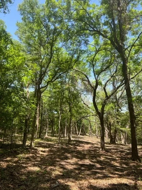 Ranch For Sale in Ellis County , 159 Bee Creek School House, Grandview, Texas 76050, 0, 0, Garage spaces, 0 Sqft, built in 0, Price $4,796,000, mls#21336497, Real Estate Agent in Grandview, Homes For Sale in Ellis county, Homes For Sale in Grandview, Realtor in Grandview Texas, Real Estate Brokerage Independent Realty Texas, Luminita Cordes Realtor