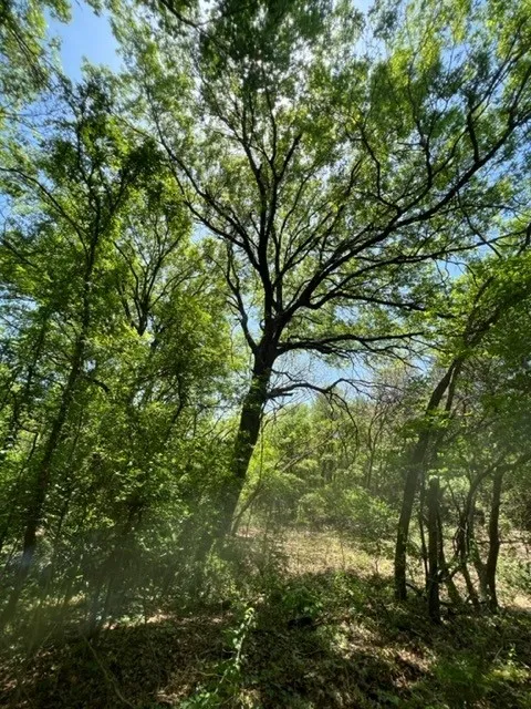 Ranch For Sale in Ellis County , 159 Bee Creek School House, Grandview, Texas 76050, 0, 0, Garage spaces, 0 Sqft, built in 0, Price $4,796,000, mls#21336497, Real Estate Agent in Grandview, Homes For Sale in Ellis county, Homes For Sale in Grandview, Realtor in Grandview Texas, Real Estate Brokerage Independent Realty Texas, Luminita Cordes Realtor