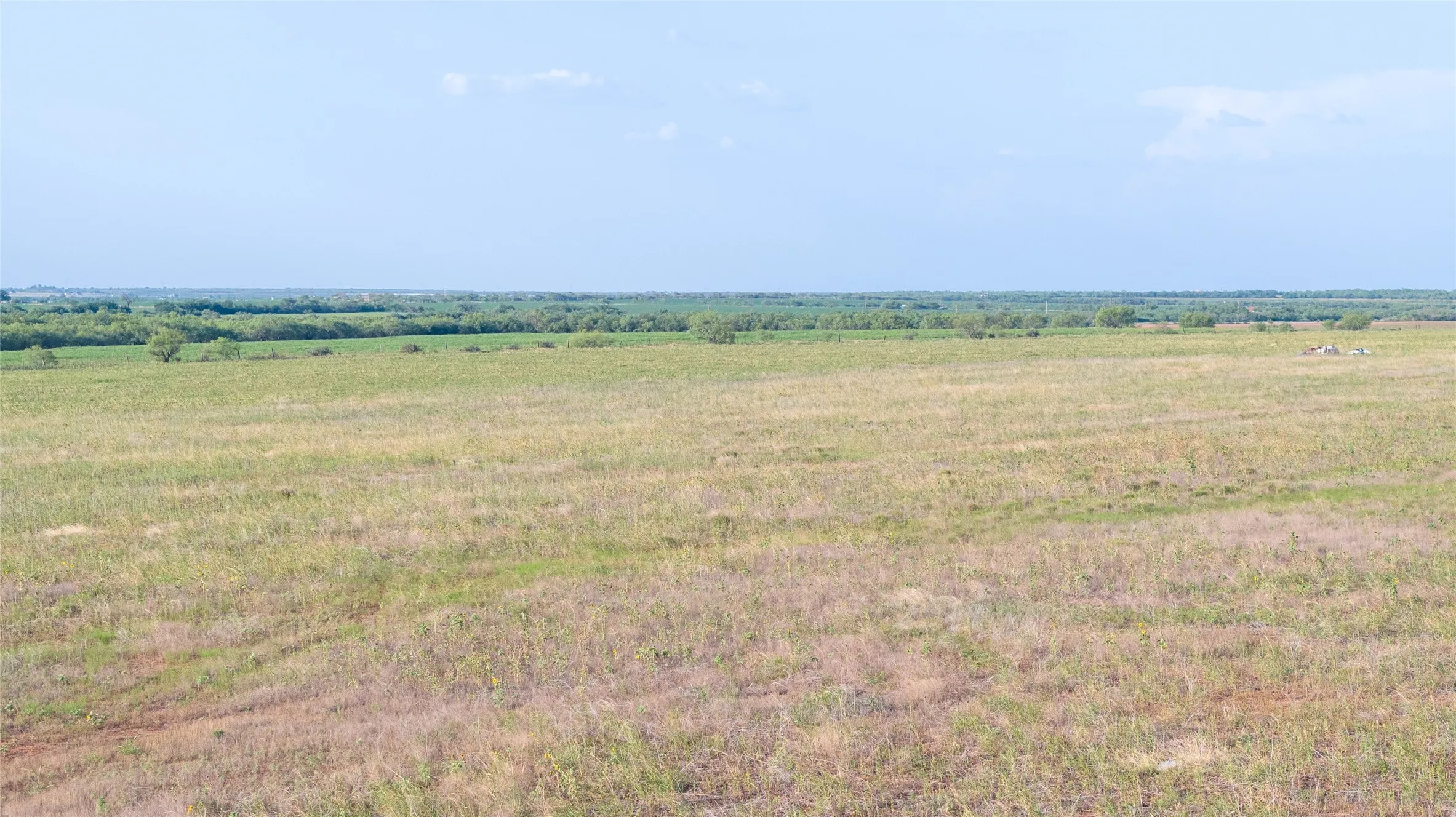 Improved Land For Sale in Taylor County , 4257 FM 1235, Merkel, Texas 79536, 0, 0, Garage spaces, 0 Sqft, built in 0, Price $80,000, mls#21337022, Real Estate Agent in Merkel, Homes For Sale in Taylor county, Homes For Sale in Merkel, Realtor in Merkel Texas, Real Estate Brokerage Independent Realty Texas, Luminita Cordes Realtor