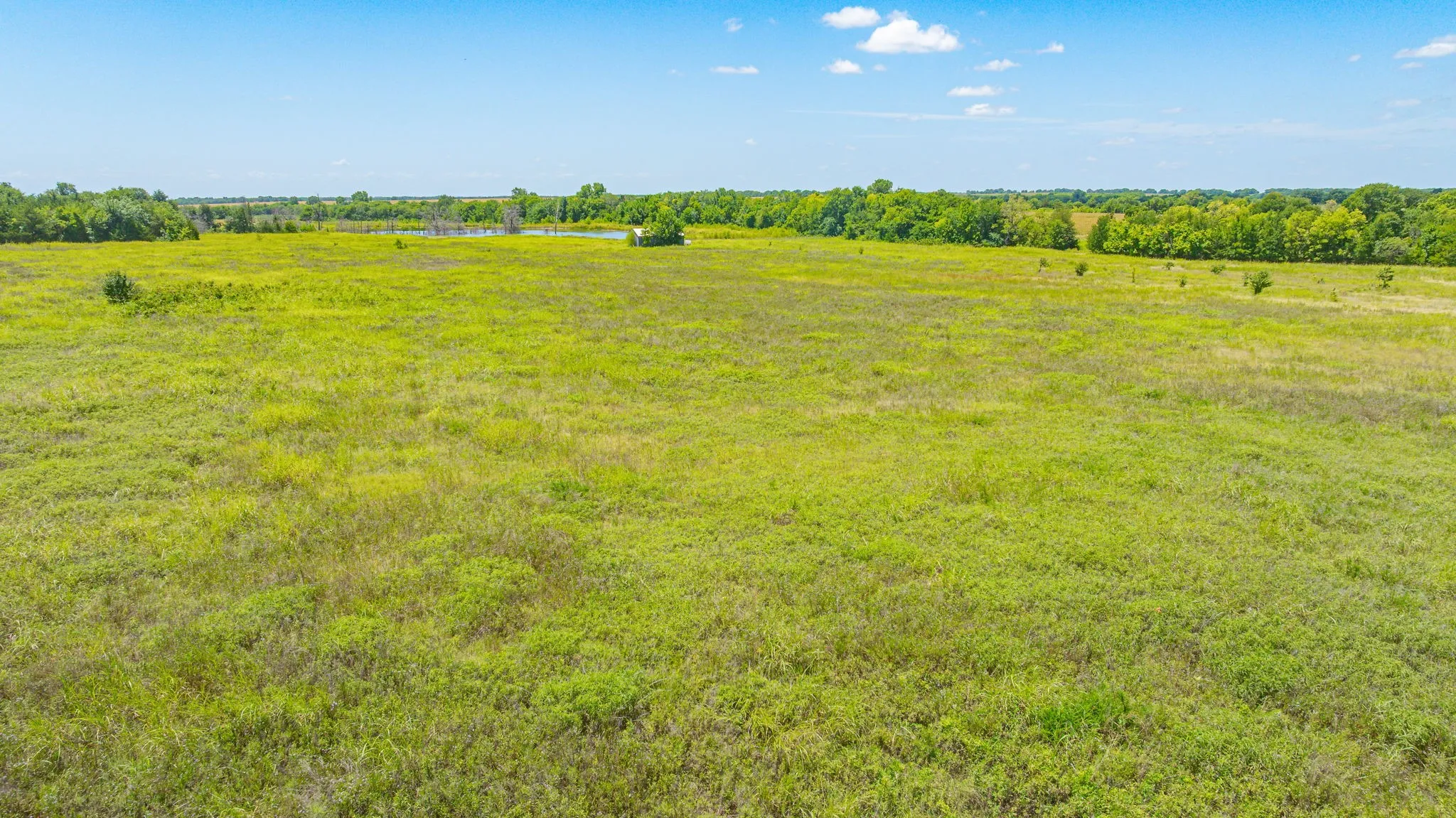 Unimproved Land For Sale in Delta County , TBD Cr 3320 End, Pecan Gap, Texas 75469, 0, 0, Garage spaces, 0 Sqft, built in 0, Price $350,000, mls#21337023, Real Estate Agent in Pecan Gap, Homes For Sale in Delta county, Homes For Sale in Pecan Gap, Realtor in Pecan Gap Texas, Real Estate Brokerage Independent Realty Texas, Luminita Cordes Realtor