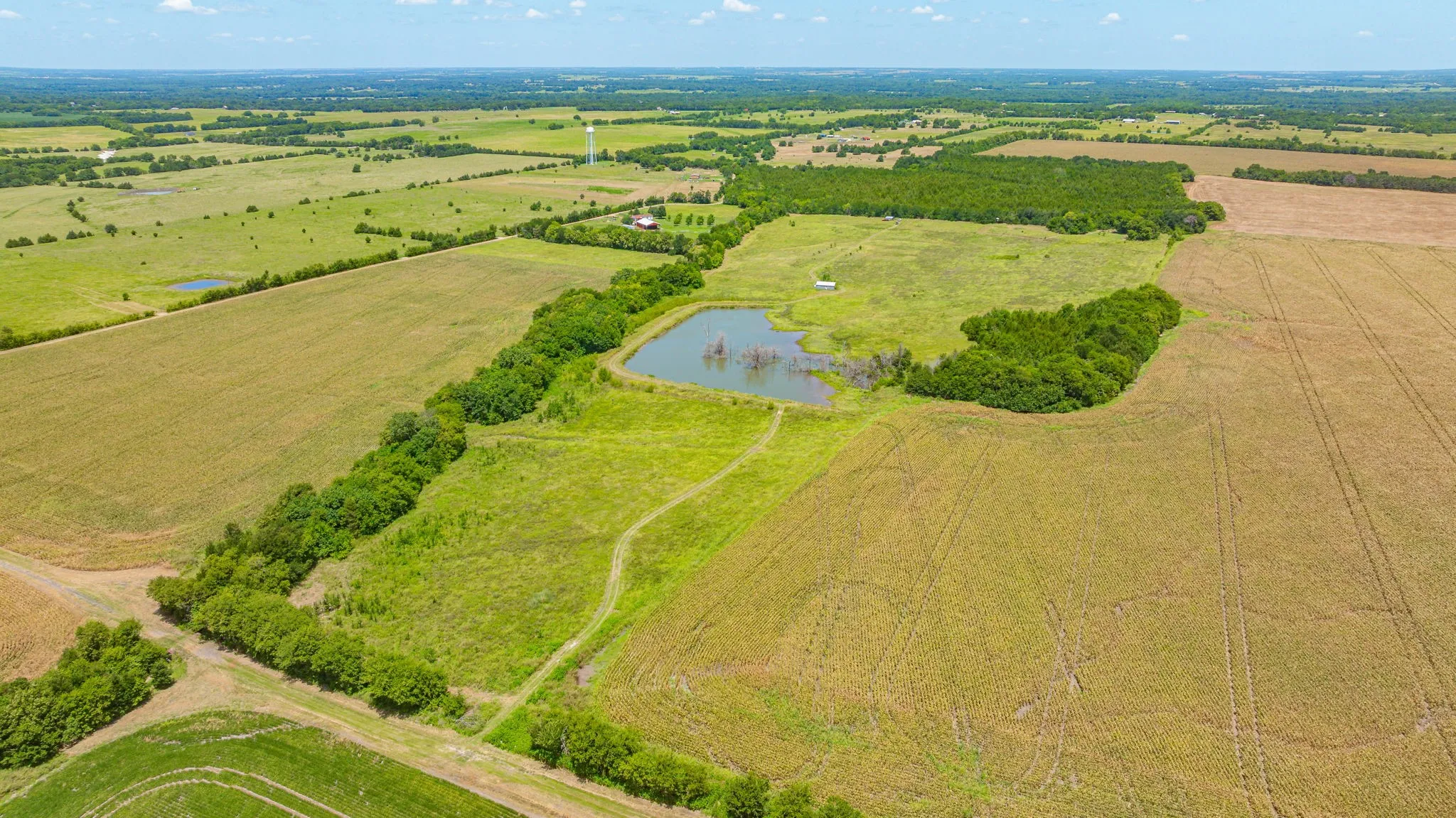 Unimproved Land For Sale in Delta County , TBD Cr 3320 End, Pecan Gap, Texas 75469, 0, 0, Garage spaces, 0 Sqft, built in 0, Price $350,000, mls#21337023, Real Estate Agent in Pecan Gap, Homes For Sale in Delta county, Homes For Sale in Pecan Gap, Realtor in Pecan Gap Texas, Real Estate Brokerage Independent Realty Texas, Luminita Cordes Realtor