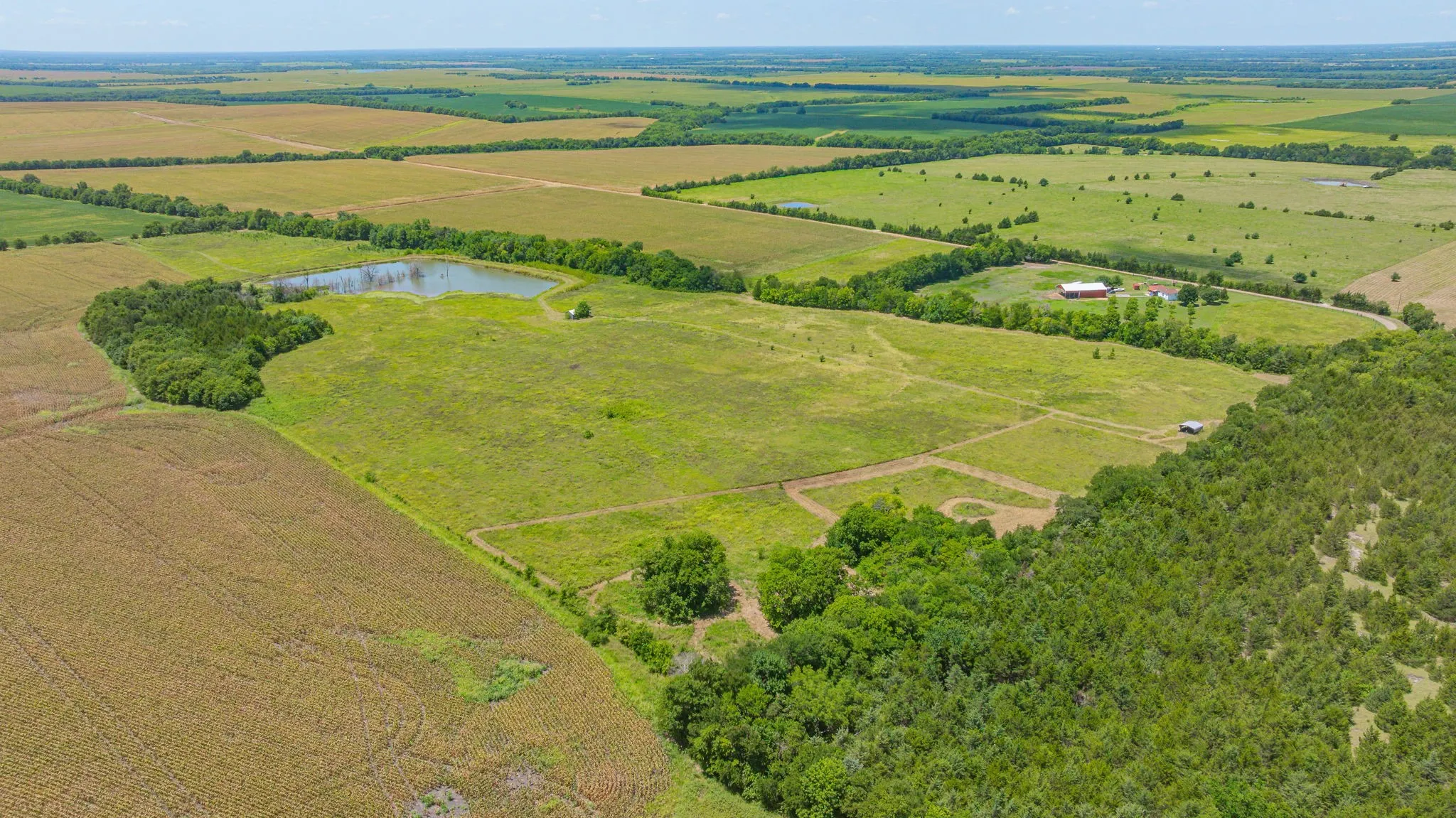 Unimproved Land For Sale in Delta County , TBD Cr 3320 End, Pecan Gap, Texas 75469, 0, 0, Garage spaces, 0 Sqft, built in 0, Price $350,000, mls#21337023, Real Estate Agent in Pecan Gap, Homes For Sale in Delta county, Homes For Sale in Pecan Gap, Realtor in Pecan Gap Texas, Real Estate Brokerage Independent Realty Texas, Luminita Cordes Realtor