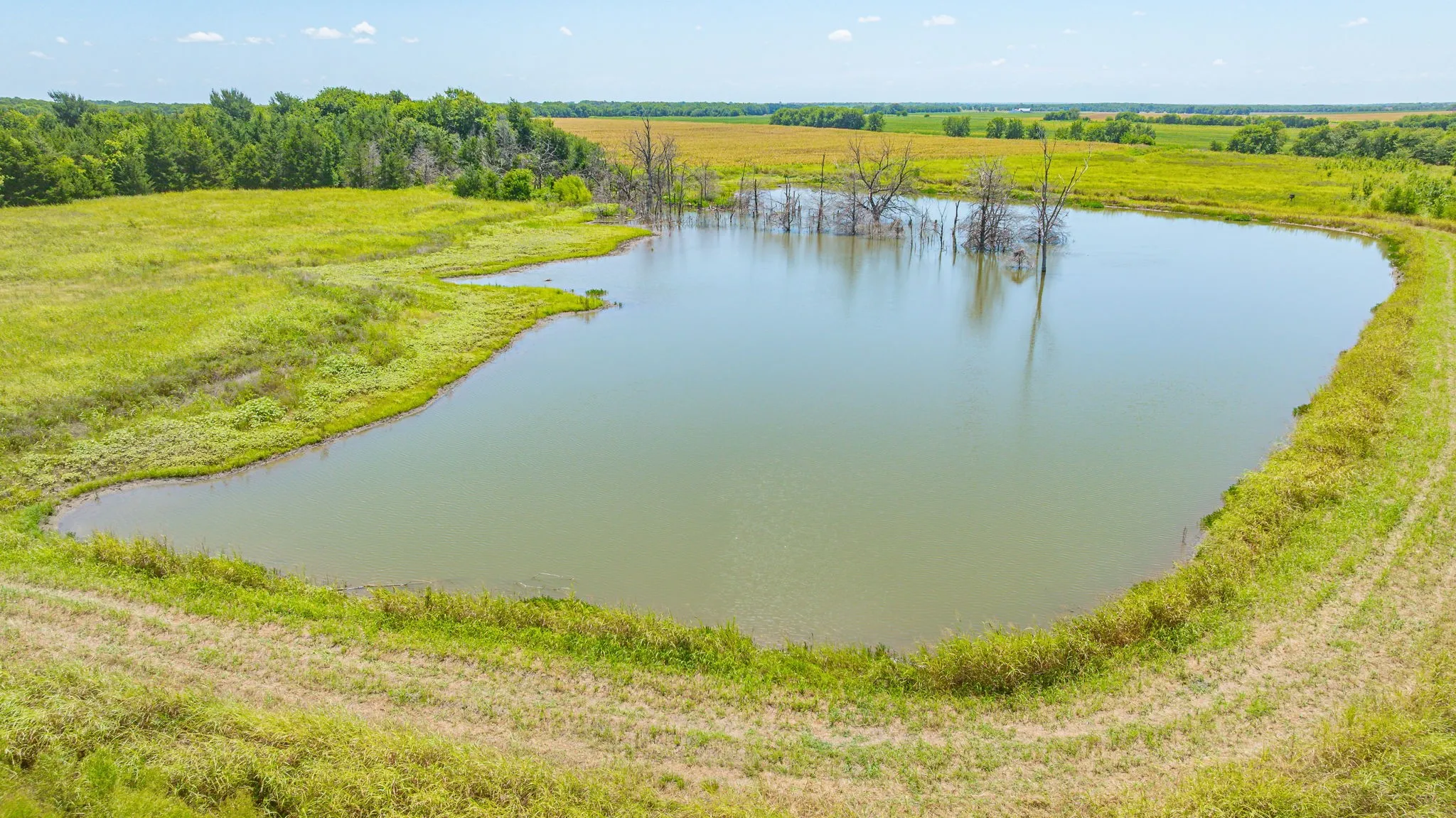 Unimproved Land For Sale in Delta County , TBD Cr 3320 End, Pecan Gap, Texas 75469, 0, 0, Garage spaces, 0 Sqft, built in 0, Price $350,000, mls#21337023, Real Estate Agent in Pecan Gap, Homes For Sale in Delta county, Homes For Sale in Pecan Gap, Realtor in Pecan Gap Texas, Real Estate Brokerage Independent Realty Texas, Luminita Cordes Realtor