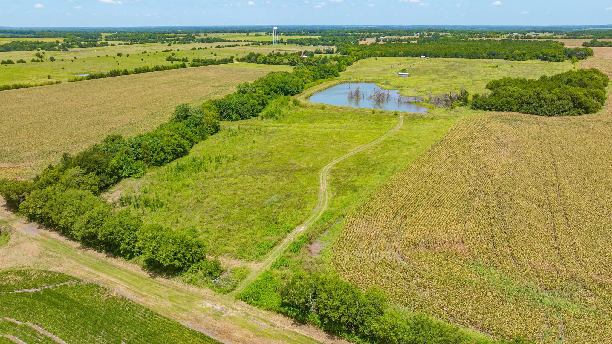 Unimproved Land For Sale in Delta County , TBD Cr 3320 End, Pecan Gap, Texas 75469, 0, 0, Garage spaces, 0 Sqft, built in 0, Price $350,000, mls#21337023, Real Estate Agent in Pecan Gap, Homes For Sale in Delta county, Homes For Sale in Pecan Gap, Realtor in Pecan Gap Texas, Real Estate Brokerage Independent Realty Texas, Luminita Cordes Realtor