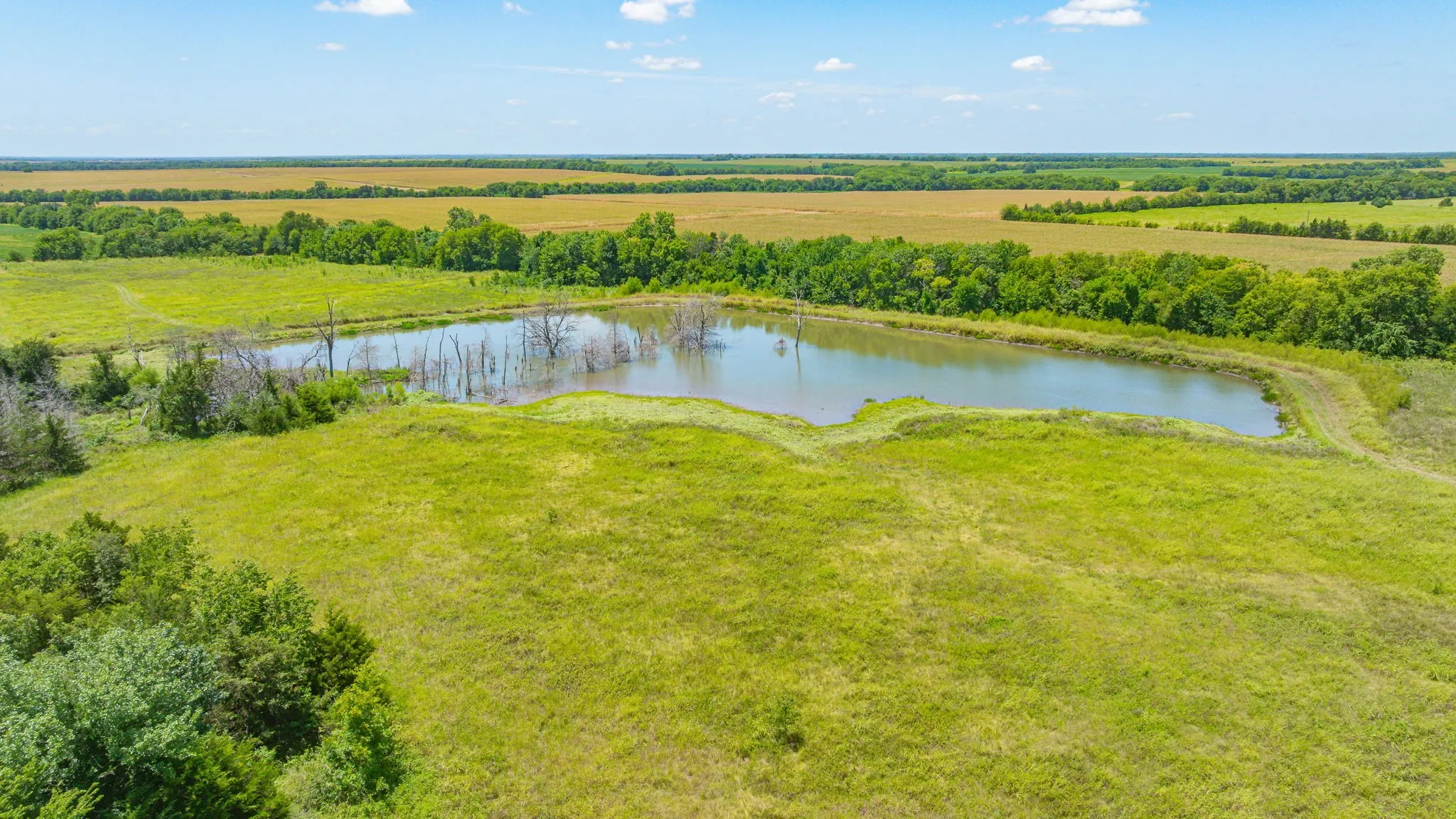 Unimproved Land For Sale in Delta County , TBD Cr 3320 End, Pecan Gap, Texas 75469, 0, 0, Garage spaces, 0 Sqft, built in 0, Price $350,000, mls#21337023, Real Estate Agent in Pecan Gap, Homes For Sale in Delta county, Homes For Sale in Pecan Gap, Realtor in Pecan Gap Texas, Real Estate Brokerage Independent Realty Texas, Luminita Cordes Realtor