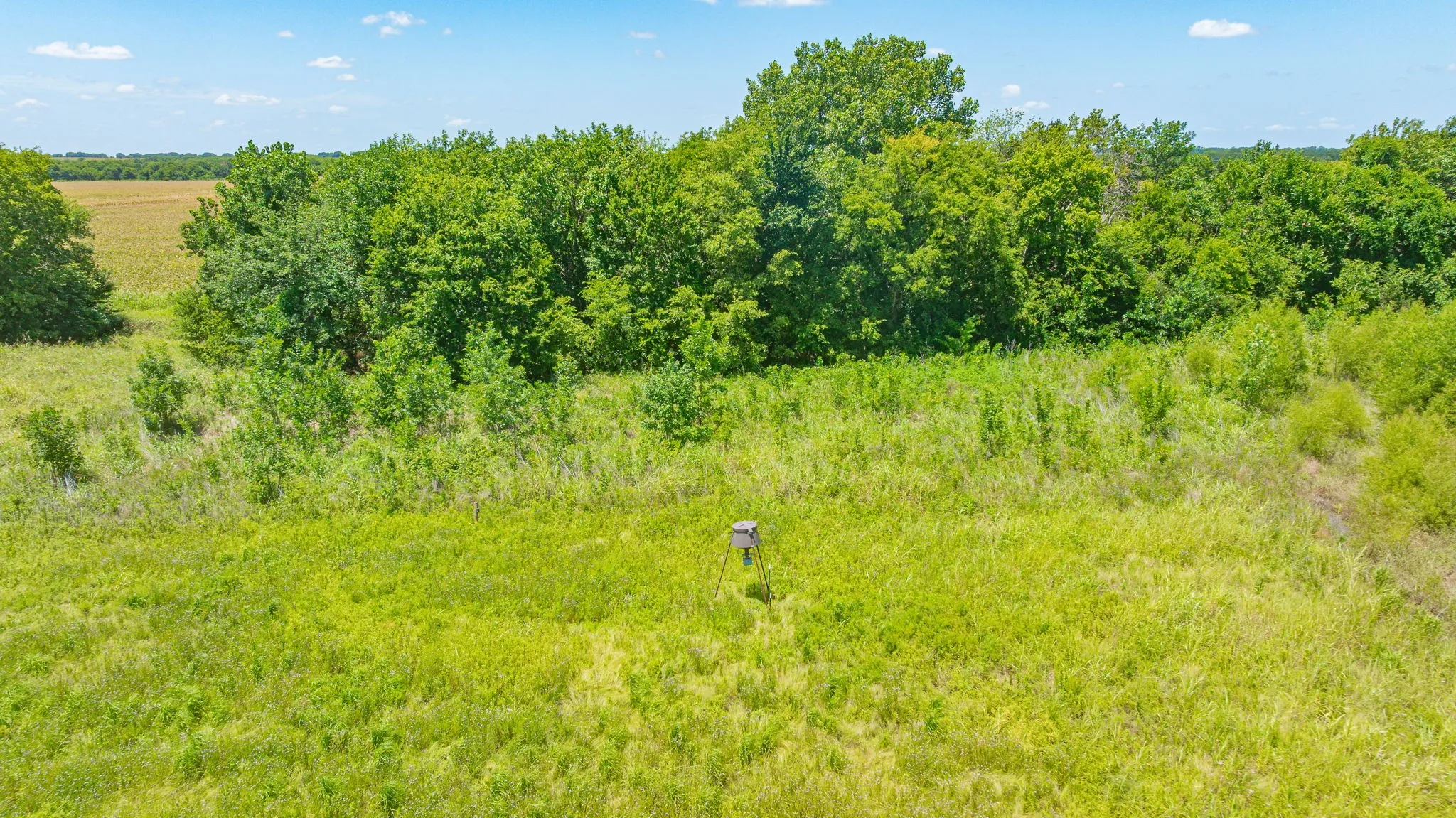 Unimproved Land For Sale in Delta County , TBD Cr 3320 End, Pecan Gap, Texas 75469, 0, 0, Garage spaces, 0 Sqft, built in 0, Price $350,000, mls#21337023, Real Estate Agent in Pecan Gap, Homes For Sale in Delta county, Homes For Sale in Pecan Gap, Realtor in Pecan Gap Texas, Real Estate Brokerage Independent Realty Texas, Luminita Cordes Realtor