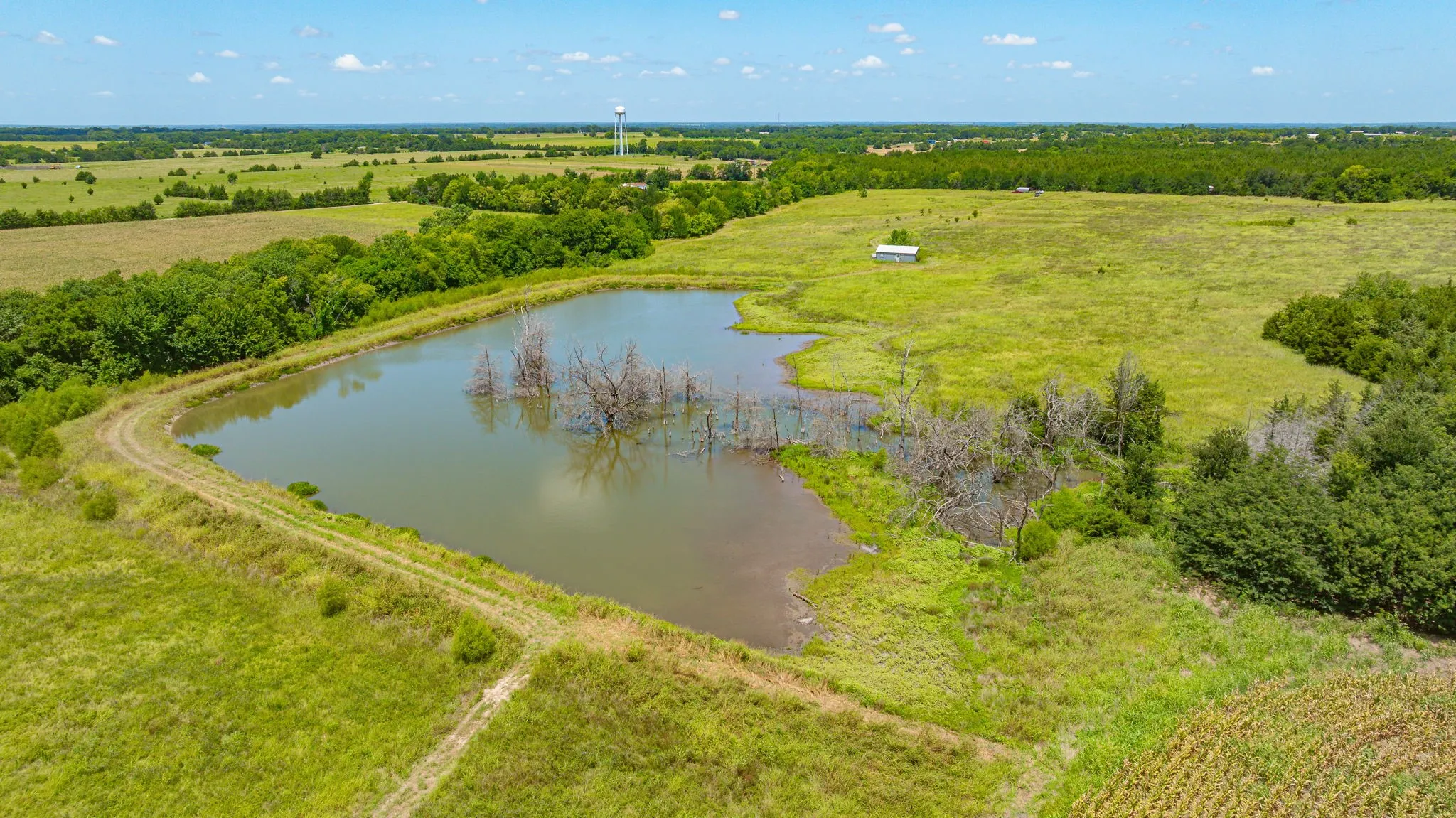 Unimproved Land For Sale in Delta County , TBD Cr 3320 End, Pecan Gap, Texas 75469, 0, 0, Garage spaces, 0 Sqft, built in 0, Price $350,000, mls#21337023, Real Estate Agent in Pecan Gap, Homes For Sale in Delta county, Homes For Sale in Pecan Gap, Realtor in Pecan Gap Texas, Real Estate Brokerage Independent Realty Texas, Luminita Cordes Realtor