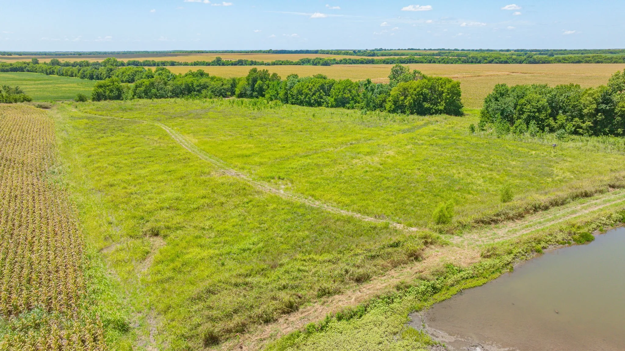 Unimproved Land For Sale in Delta County , TBD Cr 3320 End, Pecan Gap, Texas 75469, 0, 0, Garage spaces, 0 Sqft, built in 0, Price $350,000, mls#21337023, Real Estate Agent in Pecan Gap, Homes For Sale in Delta county, Homes For Sale in Pecan Gap, Realtor in Pecan Gap Texas, Real Estate Brokerage Independent Realty Texas, Luminita Cordes Realtor