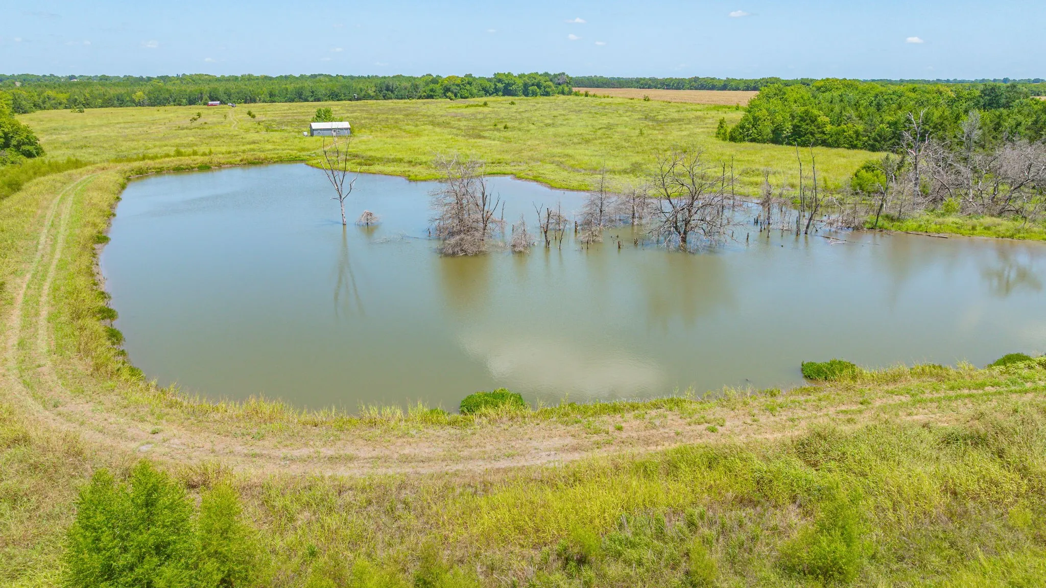 Unimproved Land For Sale in Delta County , TBD Cr 3320 End, Pecan Gap, Texas 75469, 0, 0, Garage spaces, 0 Sqft, built in 0, Price $350,000, mls#21337023, Real Estate Agent in Pecan Gap, Homes For Sale in Delta county, Homes For Sale in Pecan Gap, Realtor in Pecan Gap Texas, Real Estate Brokerage Independent Realty Texas, Luminita Cordes Realtor