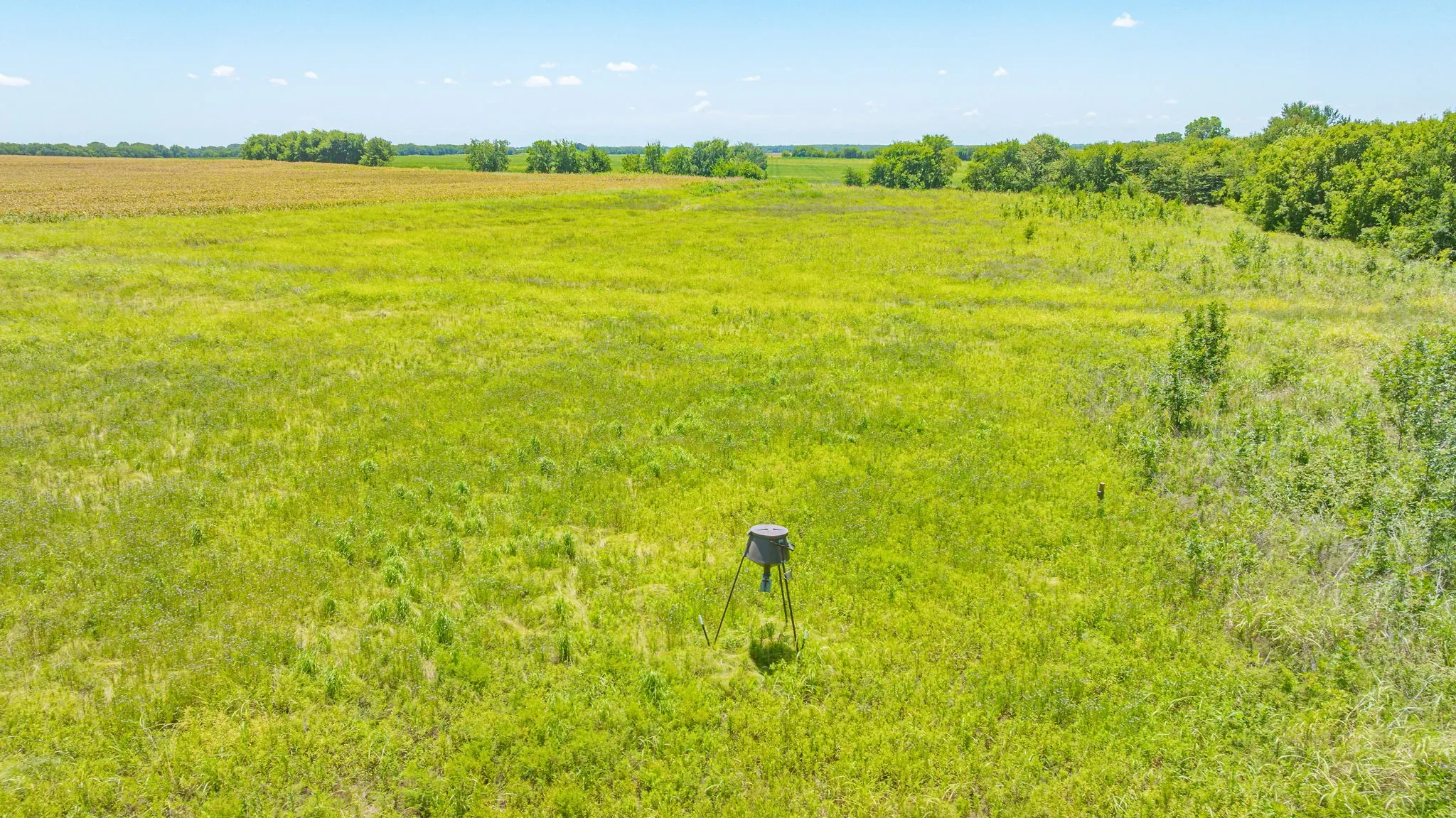 Unimproved Land For Sale in Delta County , TBD Cr 3320 End, Pecan Gap, Texas 75469, 0, 0, Garage spaces, 0 Sqft, built in 0, Price $350,000, mls#21337023, Real Estate Agent in Pecan Gap, Homes For Sale in Delta county, Homes For Sale in Pecan Gap, Realtor in Pecan Gap Texas, Real Estate Brokerage Independent Realty Texas, Luminita Cordes Realtor