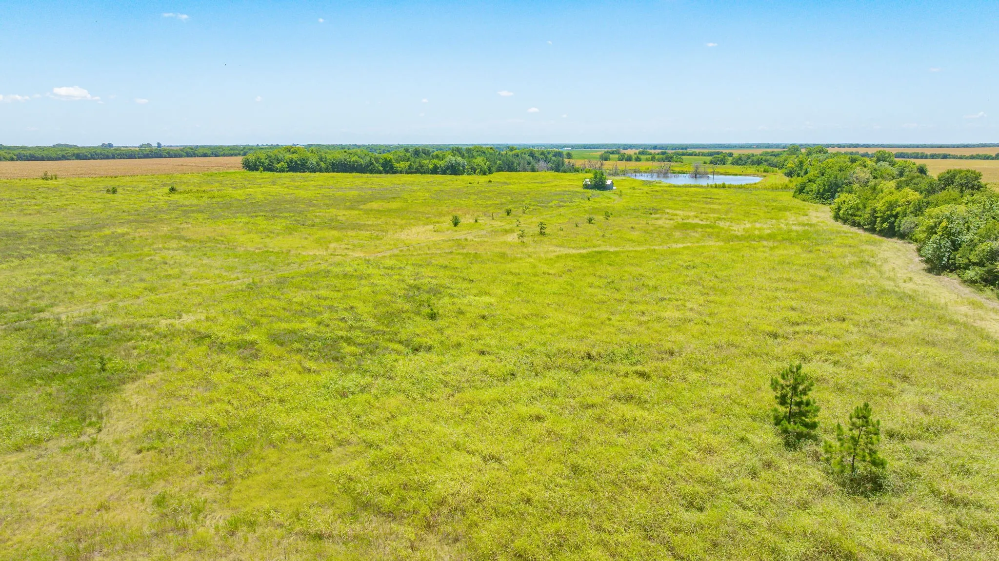 Unimproved Land For Sale in Delta County , TBD Cr 3320 End, Pecan Gap, Texas 75469, 0, 0, Garage spaces, 0 Sqft, built in 0, Price $350,000, mls#21337023, Real Estate Agent in Pecan Gap, Homes For Sale in Delta county, Homes For Sale in Pecan Gap, Realtor in Pecan Gap Texas, Real Estate Brokerage Independent Realty Texas, Luminita Cordes Realtor