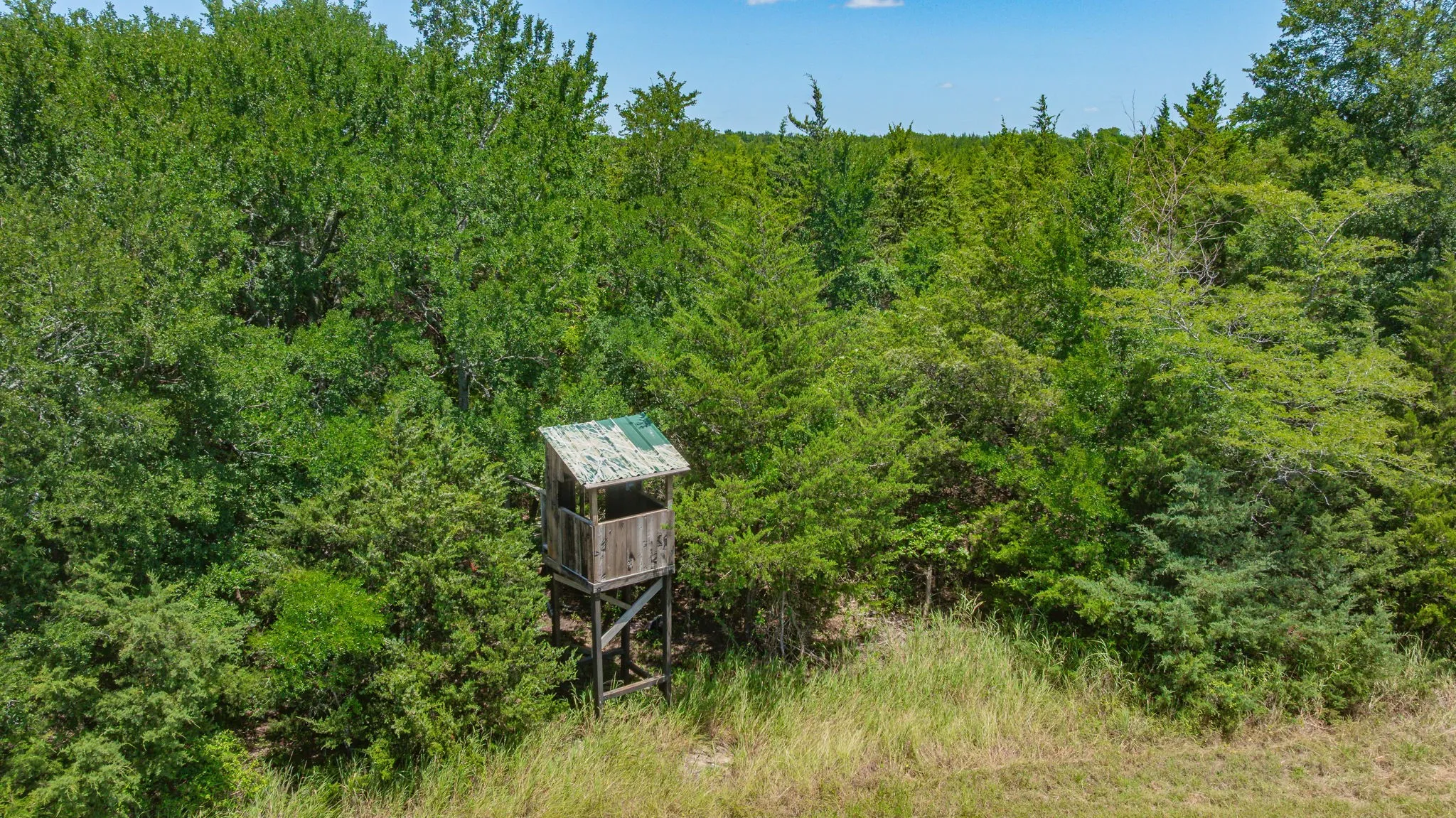 Unimproved Land For Sale in Delta County , TBD Cr 3320 End, Pecan Gap, Texas 75469, 0, 0, Garage spaces, 0 Sqft, built in 0, Price $350,000, mls#21337023, Real Estate Agent in Pecan Gap, Homes For Sale in Delta county, Homes For Sale in Pecan Gap, Realtor in Pecan Gap Texas, Real Estate Brokerage Independent Realty Texas, Luminita Cordes Realtor