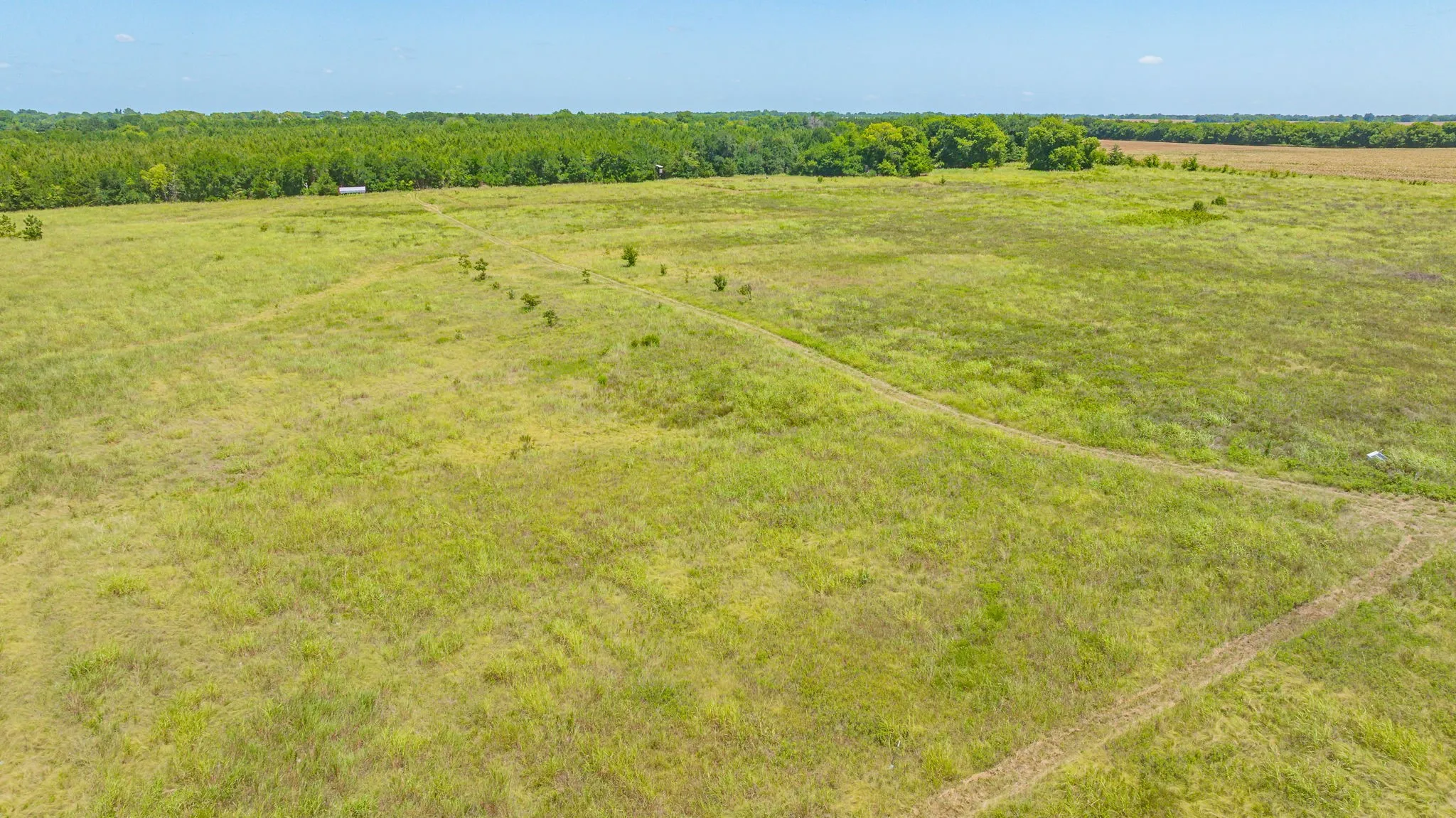 Unimproved Land For Sale in Delta County , TBD Cr 3320 End, Pecan Gap, Texas 75469, 0, 0, Garage spaces, 0 Sqft, built in 0, Price $350,000, mls#21337023, Real Estate Agent in Pecan Gap, Homes For Sale in Delta county, Homes For Sale in Pecan Gap, Realtor in Pecan Gap Texas, Real Estate Brokerage Independent Realty Texas, Luminita Cordes Realtor