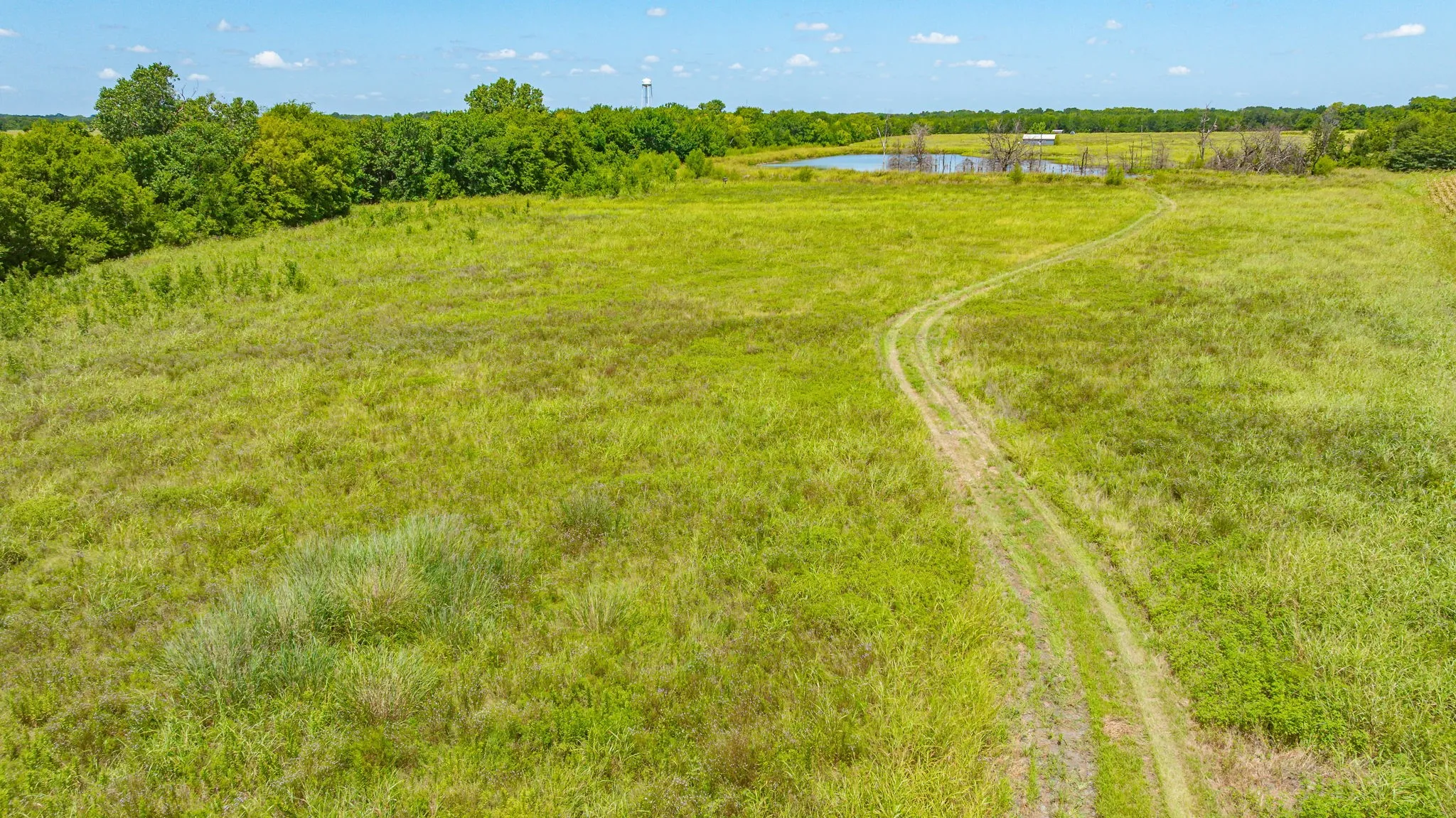 Unimproved Land For Sale in Delta County , TBD Cr 3320 End, Pecan Gap, Texas 75469, 0, 0, Garage spaces, 0 Sqft, built in 0, Price $350,000, mls#21337023, Real Estate Agent in Pecan Gap, Homes For Sale in Delta county, Homes For Sale in Pecan Gap, Realtor in Pecan Gap Texas, Real Estate Brokerage Independent Realty Texas, Luminita Cordes Realtor