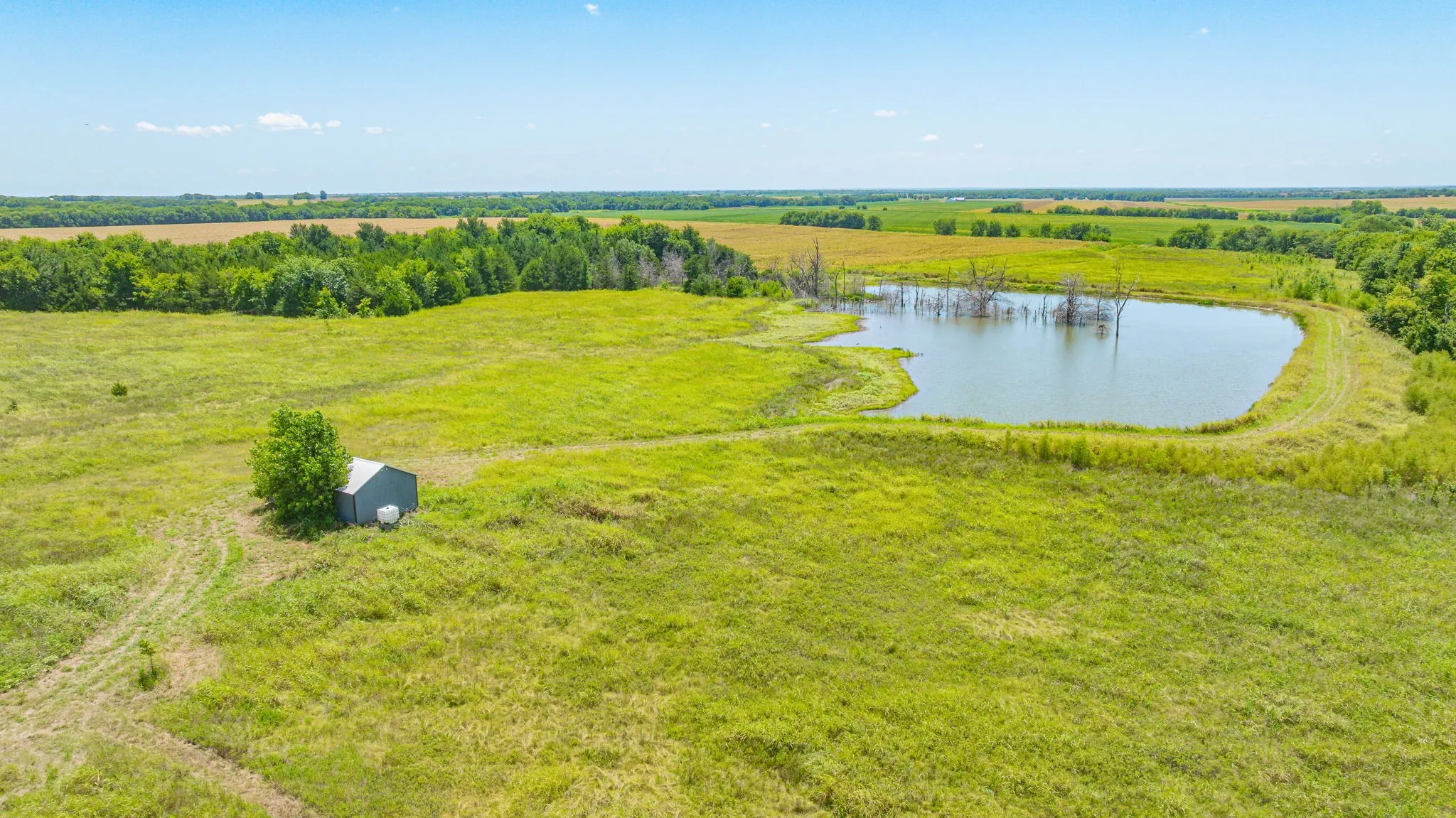 Unimproved Land For Sale in Delta County , TBD Cr 3320 End, Pecan Gap, Texas 75469, 0, 0, Garage spaces, 0 Sqft, built in 0, Price $350,000, mls#21337023, Real Estate Agent in Pecan Gap, Homes For Sale in Delta county, Homes For Sale in Pecan Gap, Realtor in Pecan Gap Texas, Real Estate Brokerage Independent Realty Texas, Luminita Cordes Realtor