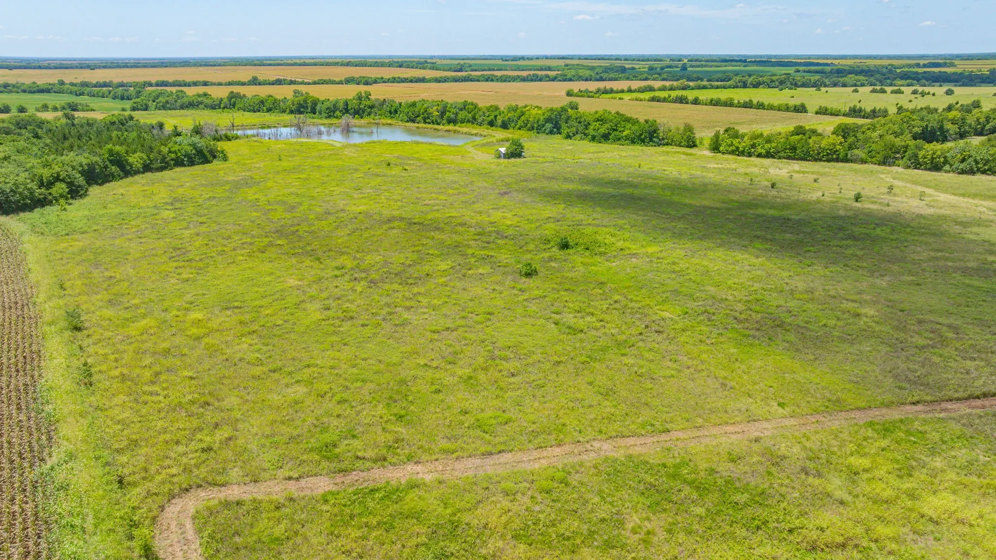 Unimproved Land For Sale in Delta County , TBD Cr 3320 End, Pecan Gap, Texas 75469, 0, 0, Garage spaces, 0 Sqft, built in 0, Price $350,000, mls#21337023, Real Estate Agent in Pecan Gap, Homes For Sale in Delta county, Homes For Sale in Pecan Gap, Realtor in Pecan Gap Texas, Real Estate Brokerage Independent Realty Texas, Luminita Cordes Realtor
