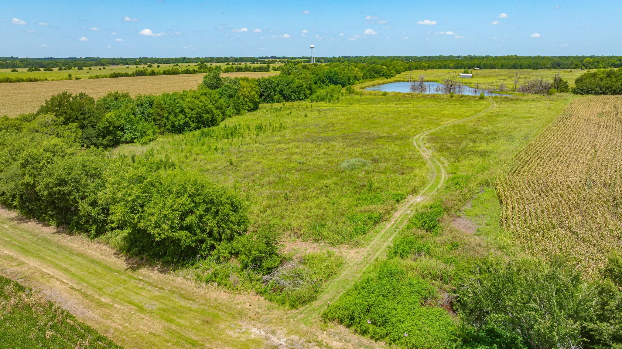 Unimproved Land For Sale in Delta County , TBD Cr 3320 End, Pecan Gap, Texas 75469, 0, 0, Garage spaces, 0 Sqft, built in 0, Price $350,000, mls#21337023, Real Estate Agent in Pecan Gap, Homes For Sale in Delta county, Homes For Sale in Pecan Gap, Realtor in Pecan Gap Texas, Real Estate Brokerage Independent Realty Texas, Luminita Cordes Realtor