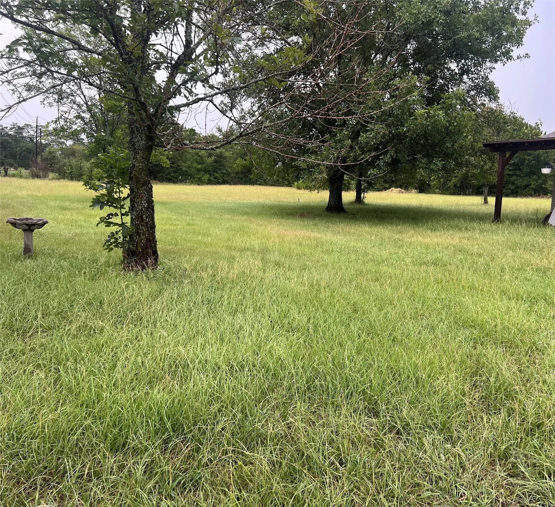 Land