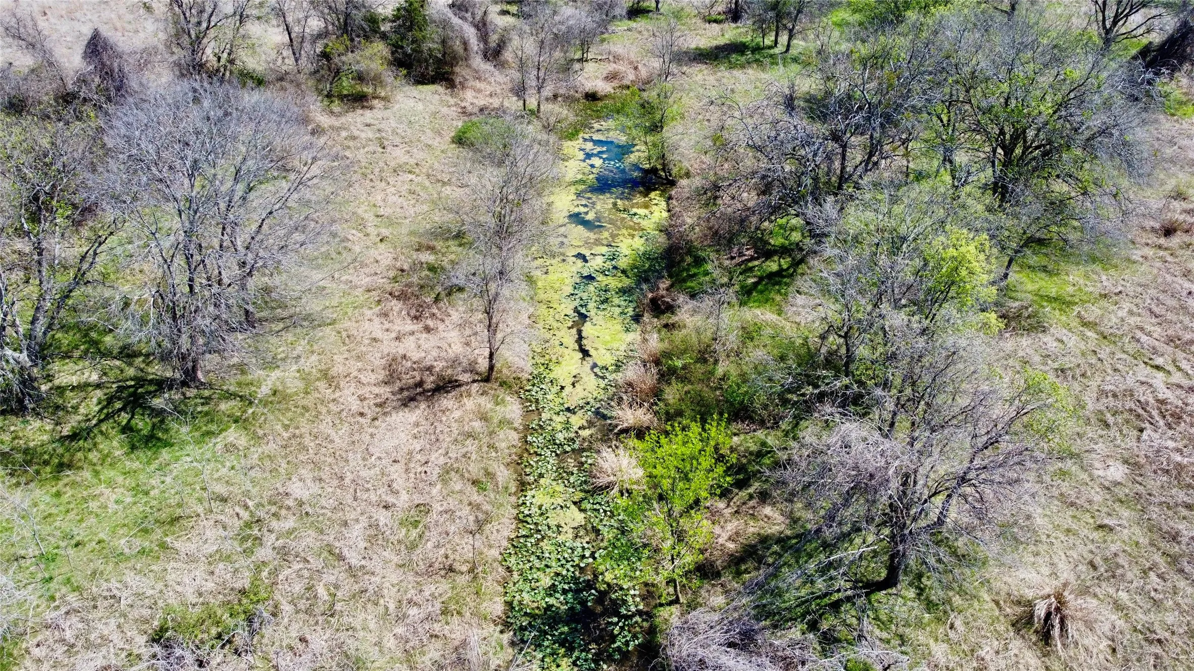 Unimproved Land For Sale in Mc Lennan County , TBD N Speegleville Road, Woodway, Texas 76712, 0, 0, Garage spaces, 0 Sqft, built in 0, mls#21337089, Real Estate Agent in Woodway, Homes For Sale in Mc Lennan county, Homes For Sale in Woodway, Realtor in Woodway Texas, Real Estate Brokerage Independent Realty Texas, Luminita Cordes Realtor