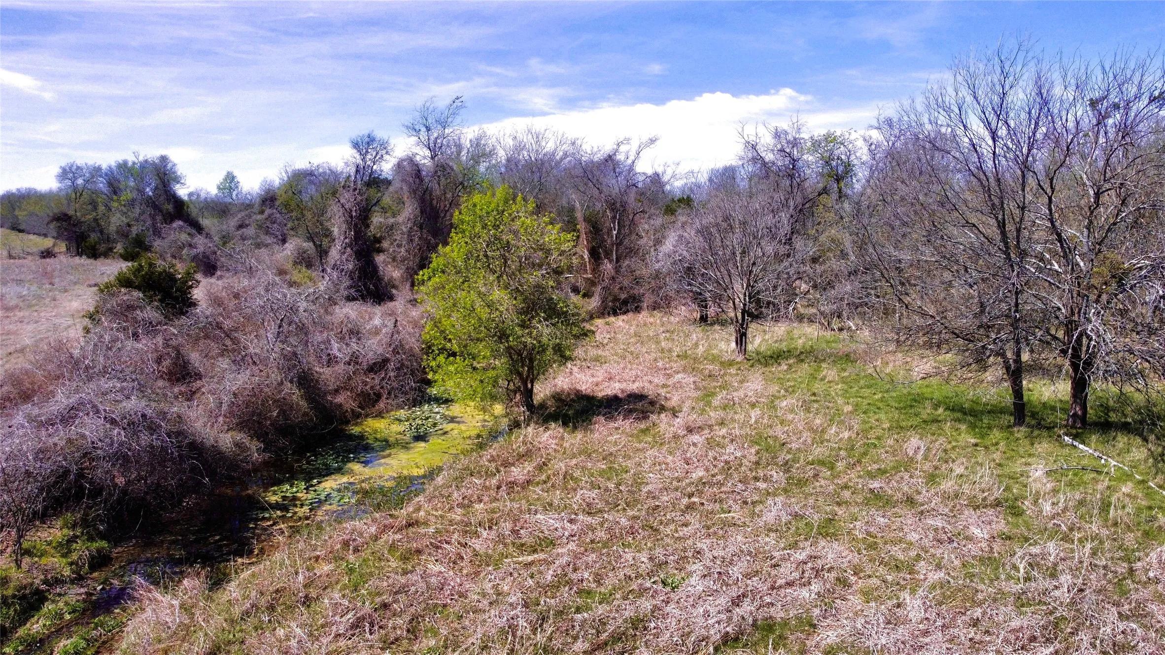 Unimproved Land For Sale in Mc Lennan County , TBD N Speegleville Road, Woodway, Texas 76712, 0, 0, Garage spaces, 0 Sqft, built in 0, mls#21337089, Real Estate Agent in Woodway, Homes For Sale in Mc Lennan county, Homes For Sale in Woodway, Realtor in Woodway Texas, Real Estate Brokerage Independent Realty Texas, Luminita Cordes Realtor