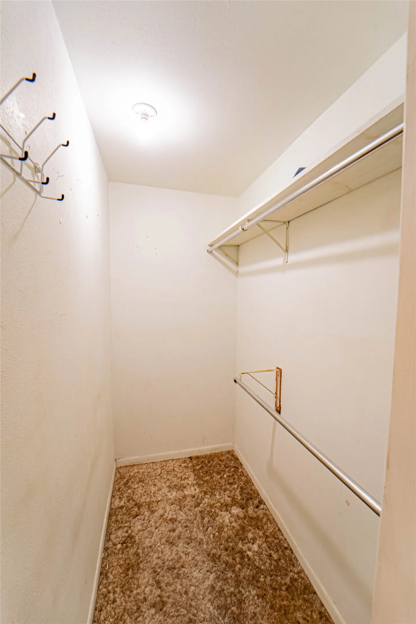 Walk-in closet featuring plush brown carpeting, a single ceiling light fixture, a top shelf, and a hanging rod