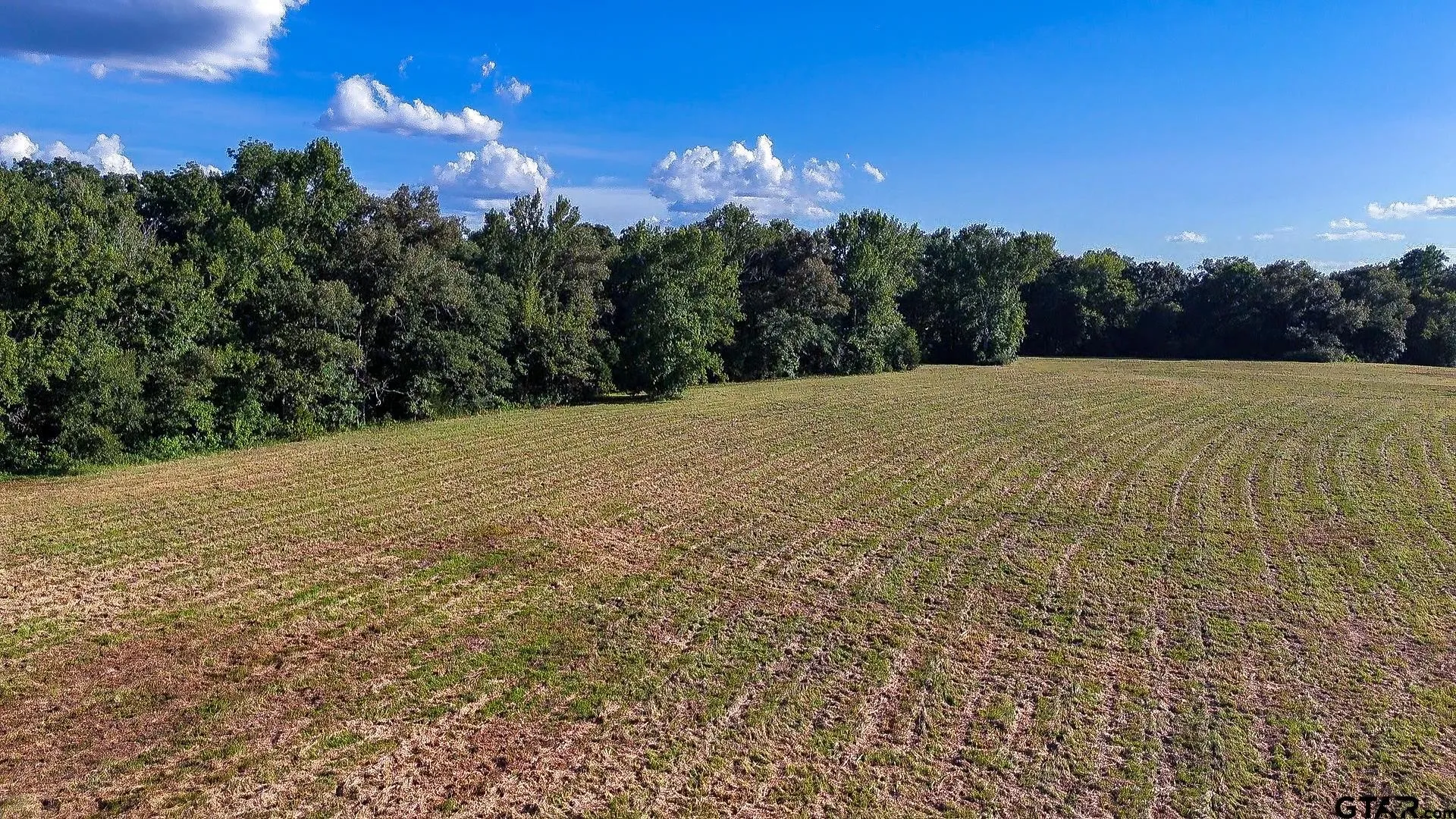 Improved Land For Sale in Wood County , TBD E Highway 11, Winnsboro, Texas 75494, 0, 0, Garage spaces, 0 Sqft, built in 0, Price $597,500, mls#21337119, Real Estate Agent in Winnsboro, Homes For Sale in Wood county, Homes For Sale in Winnsboro, Realtor in Winnsboro Texas, Real Estate Brokerage Independent Realty Texas, Luminita Cordes Realtor