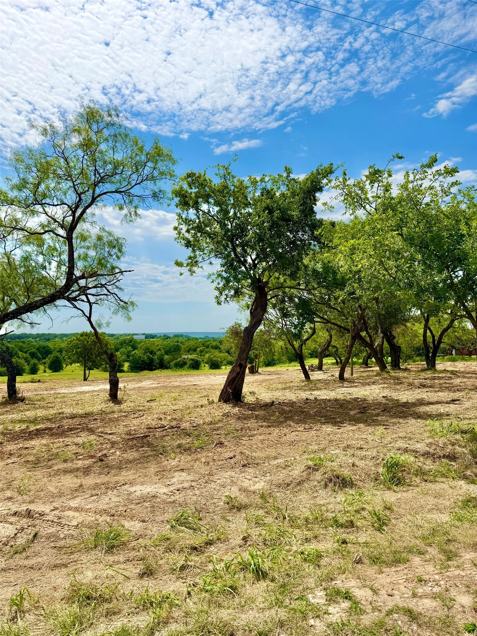 Unimproved Land For Sale in Parker County , TBA County Road 3848, Poolville, Texas 76487, 0, 0, Garage spaces, 0 Sqft, built in 0, mls#21337106, Real Estate Agent in Poolville, Homes For Sale in Parker county, Homes For Sale in Poolville, Realtor in Poolville Texas, Real Estate Brokerage Independent Realty Texas, Luminita Cordes Realtor