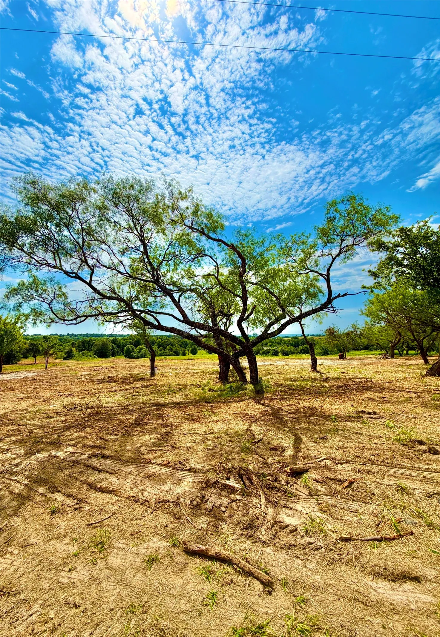 Unimproved Land For Sale in Parker County , TBA County Road 3848, Poolville, Texas 76487, 0, 0, Garage spaces, 0 Sqft, built in 0, mls#21337106, Real Estate Agent in Poolville, Homes For Sale in Parker county, Homes For Sale in Poolville, Realtor in Poolville Texas, Real Estate Brokerage Independent Realty Texas, Luminita Cordes Realtor