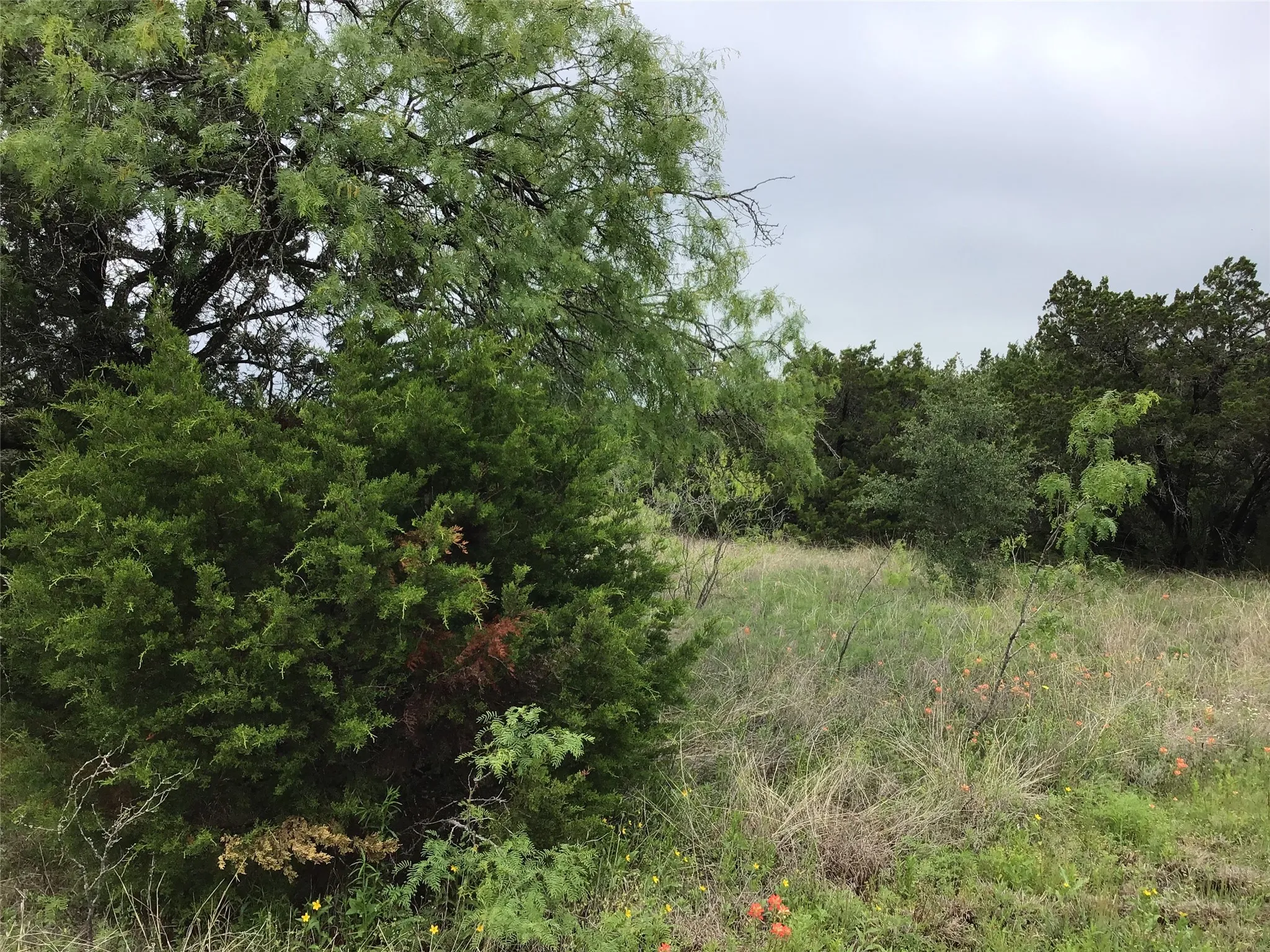 Unimproved Land For Sale in Hill County , 44163 High Crest Drive, Whitney, Texas 76692, 0, 0, Garage spaces, 0 Sqft, built in 0, Price $10,000, mls#21334461, Real Estate Agent in Whitney, Homes For Sale in Hill county, Homes For Sale in Whitney, Realtor in Whitney Texas, Real Estate Brokerage Independent Realty Texas, Luminita Cordes Realtor