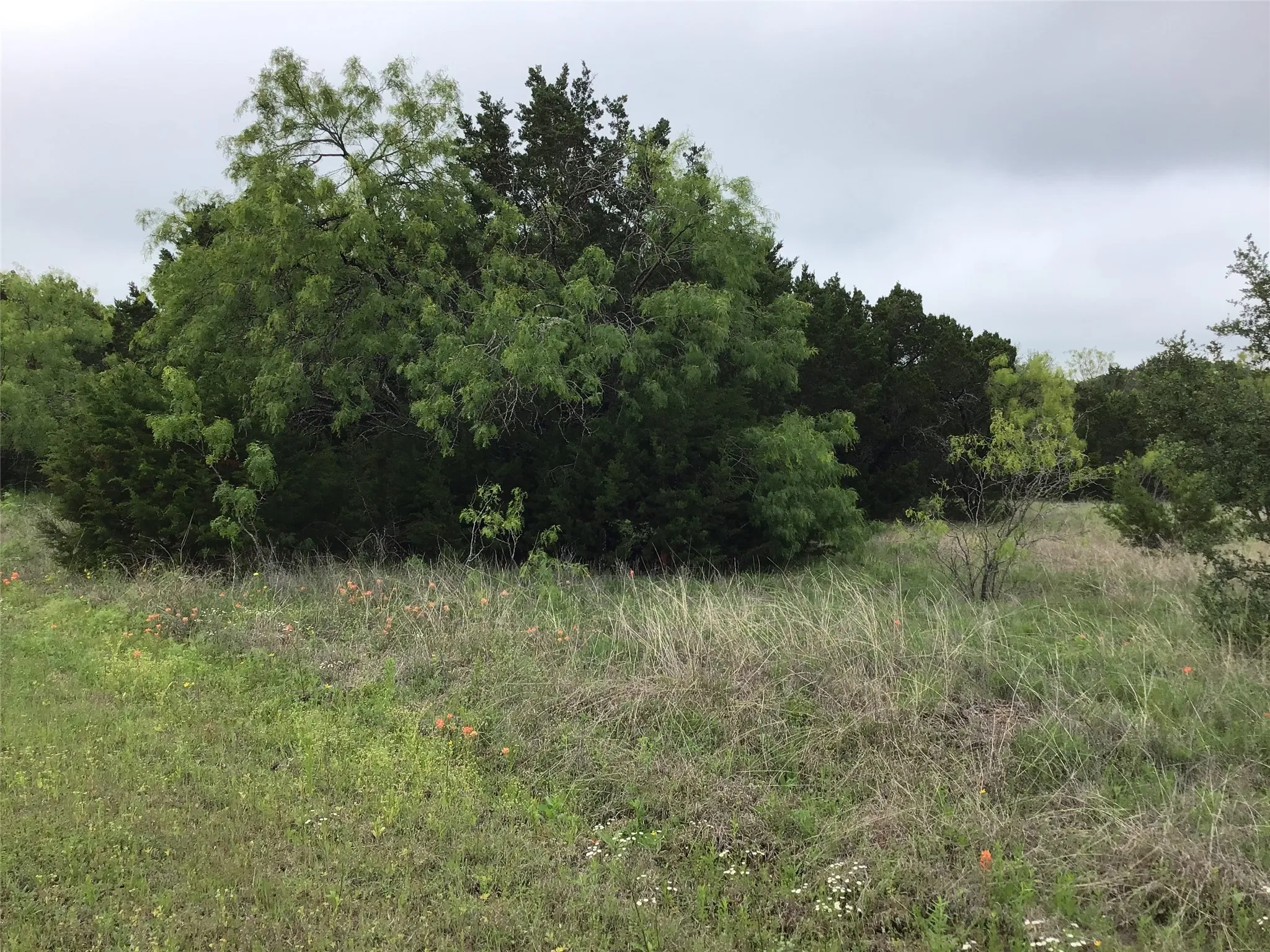 Unimproved Land For Sale in Hill County , 44163 High Crest Drive, Whitney, Texas 76692, 0, 0, Garage spaces, 0 Sqft, built in 0, Price $10,000, mls#21334461, Real Estate Agent in Whitney, Homes For Sale in Hill county, Homes For Sale in Whitney, Realtor in Whitney Texas, Real Estate Brokerage Independent Realty Texas, Luminita Cordes Realtor